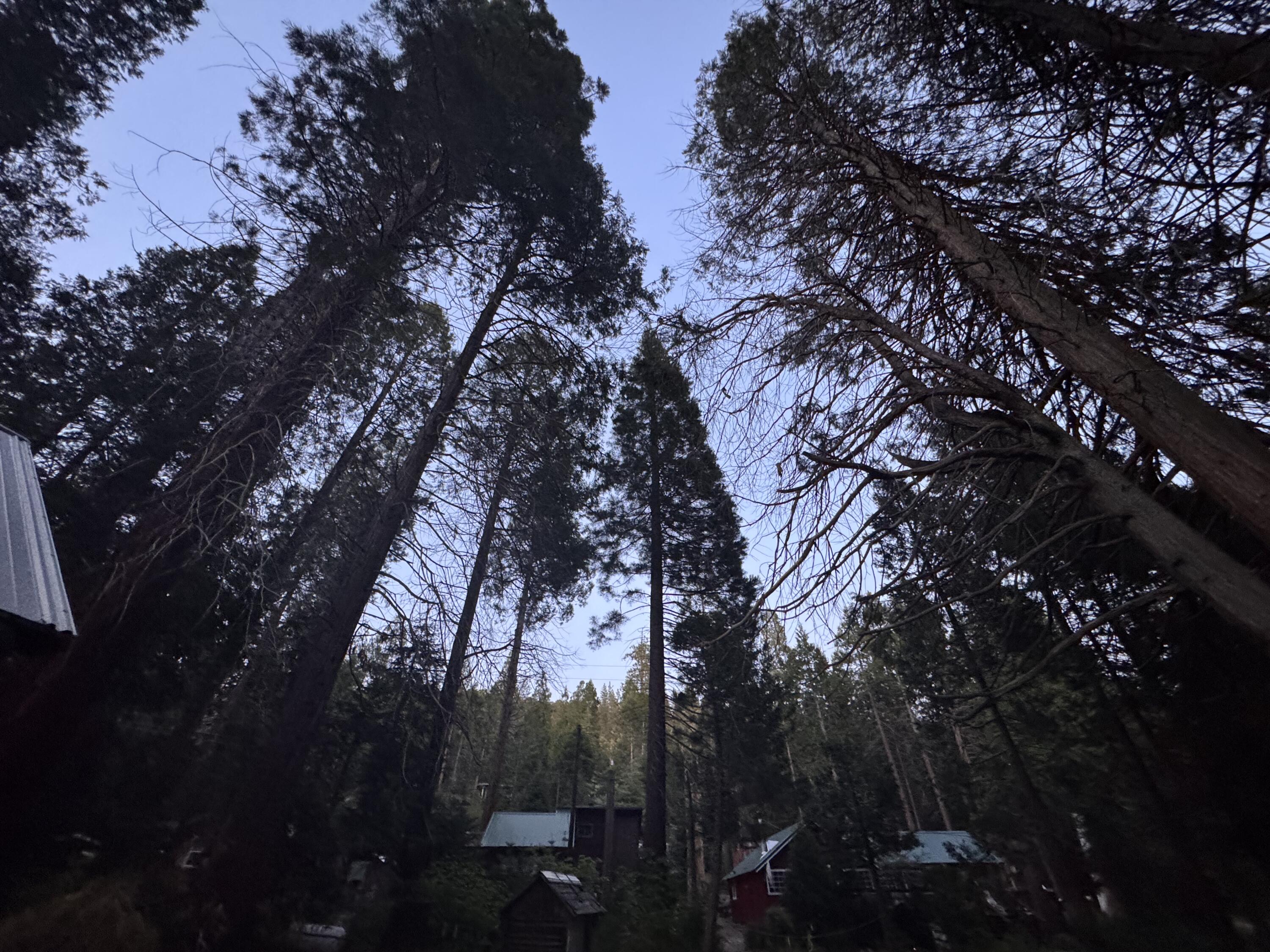 57989 Red Bud Ln, Badger, CA 93603