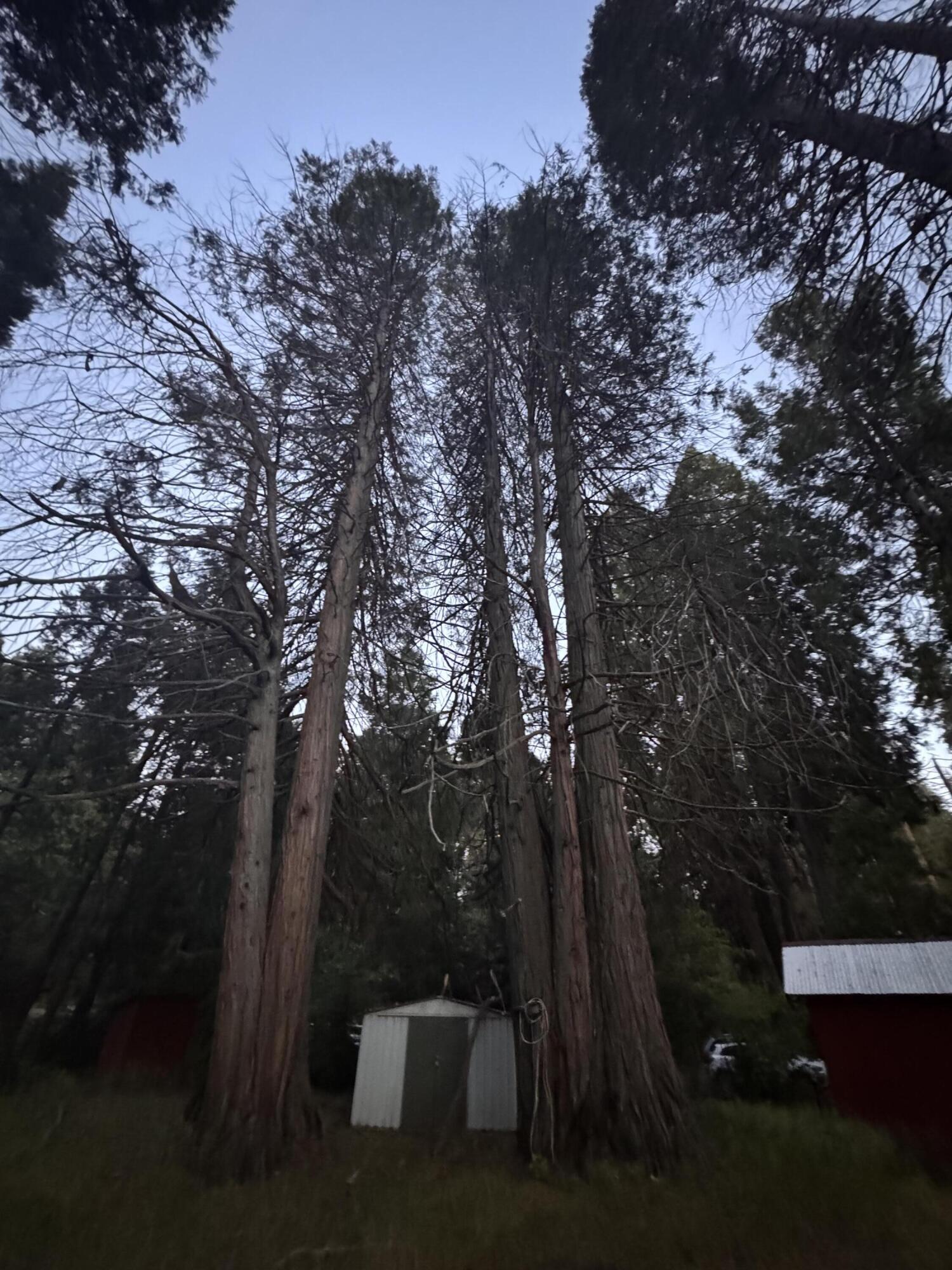 57989 Red Bud Ln, Badger, CA 93603