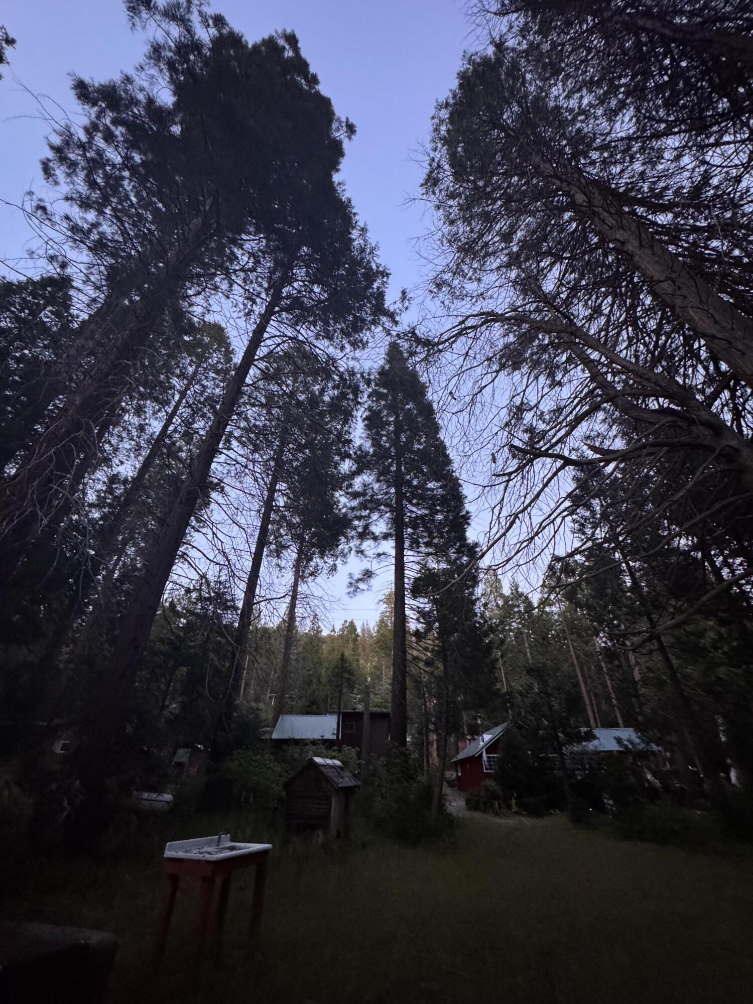 57989 Red Bud Ln, Badger, CA 93603