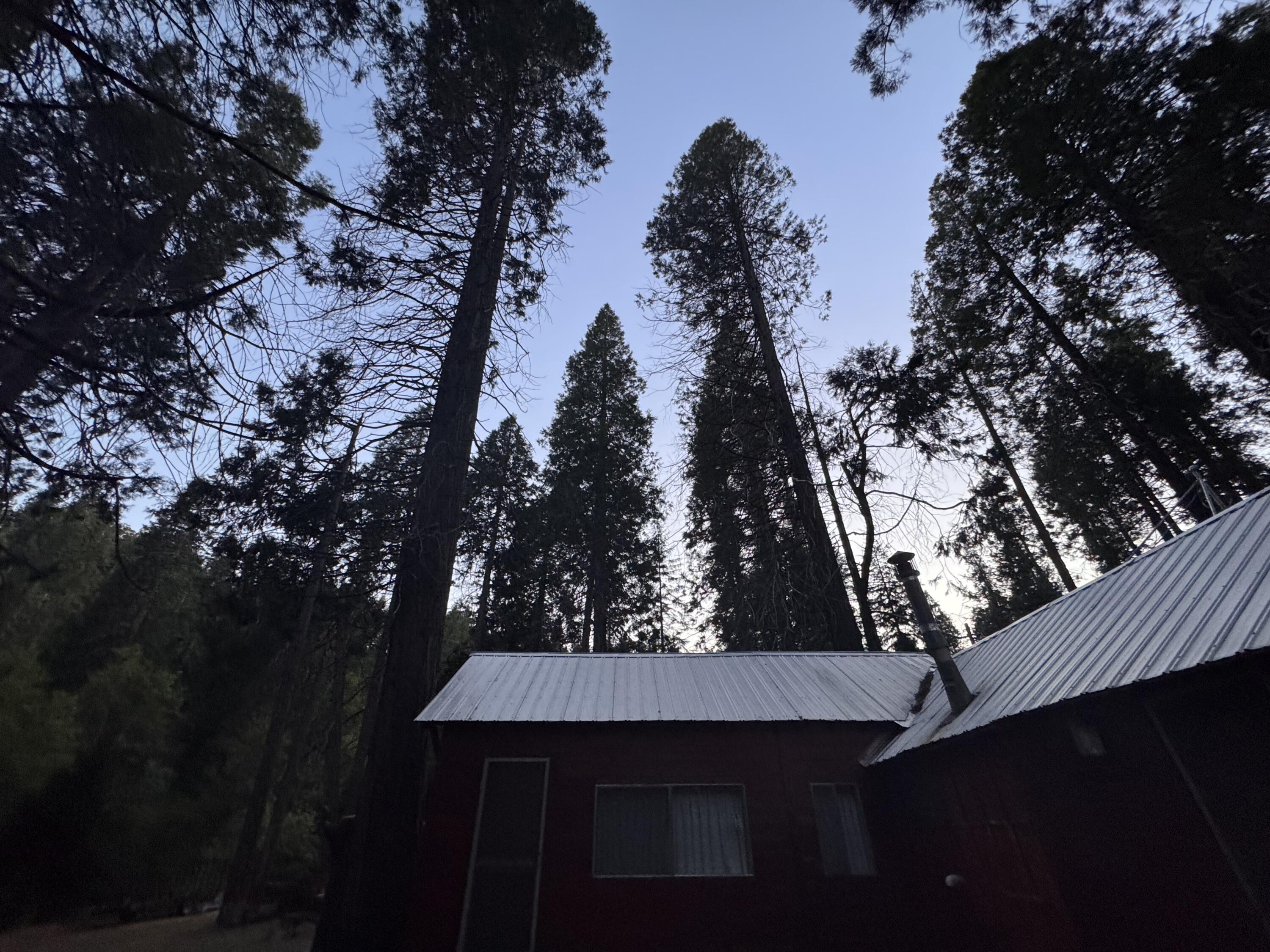 57989 Red Bud Ln, Badger, CA 93603