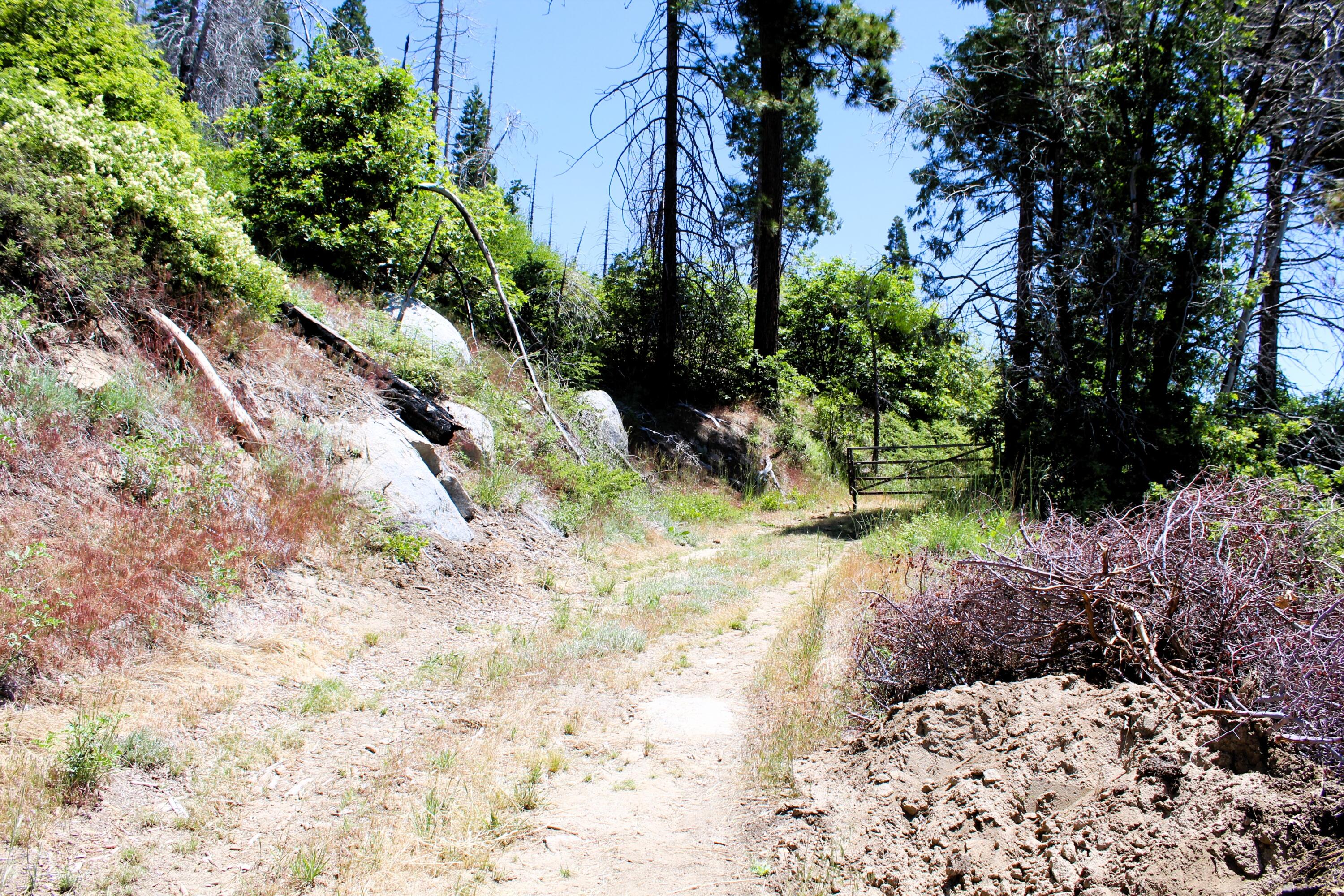 0 Redwood Dr, Springville, CA 93265