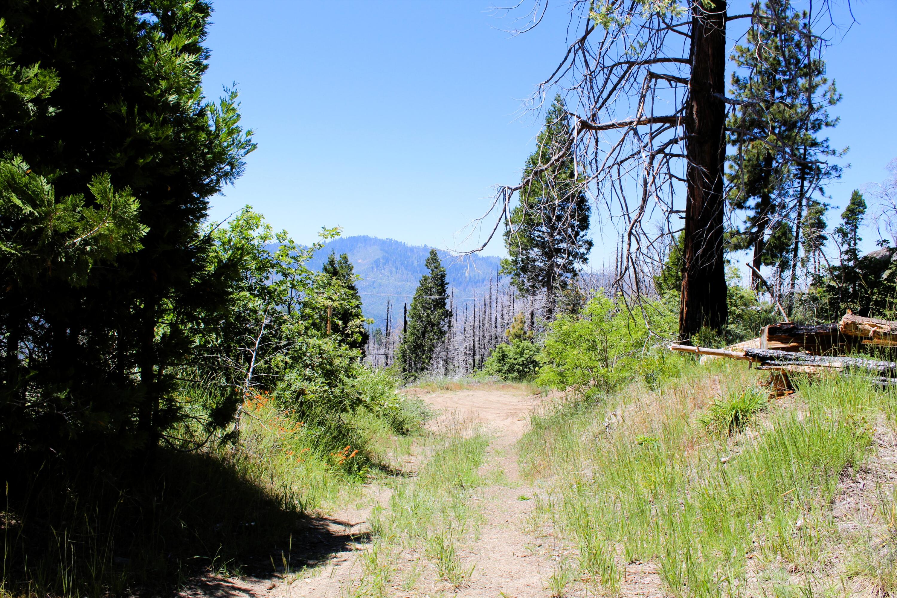 0 Redwood Dr, Springville, CA 93265
