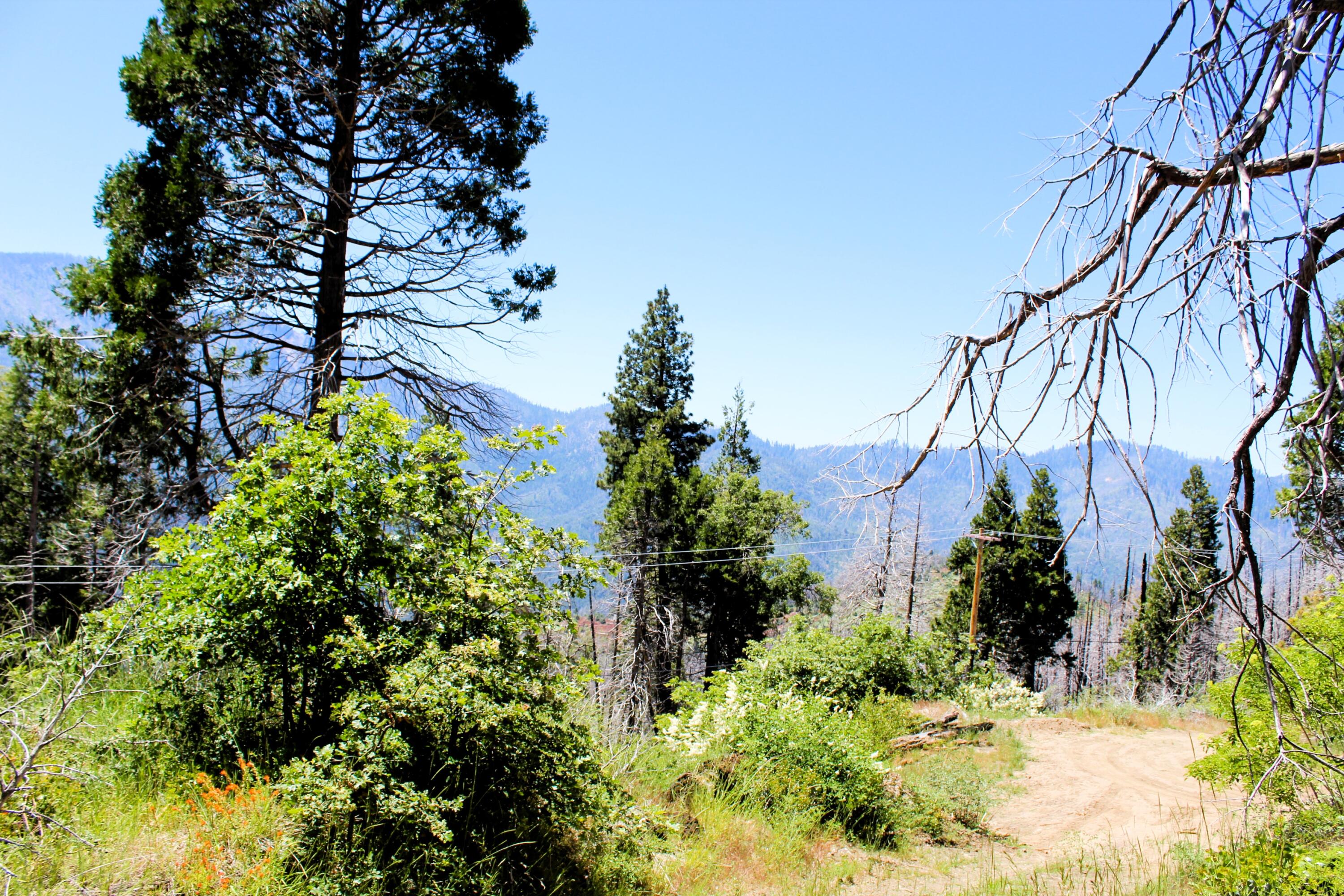 0 Redwood Dr, Springville, CA 93265