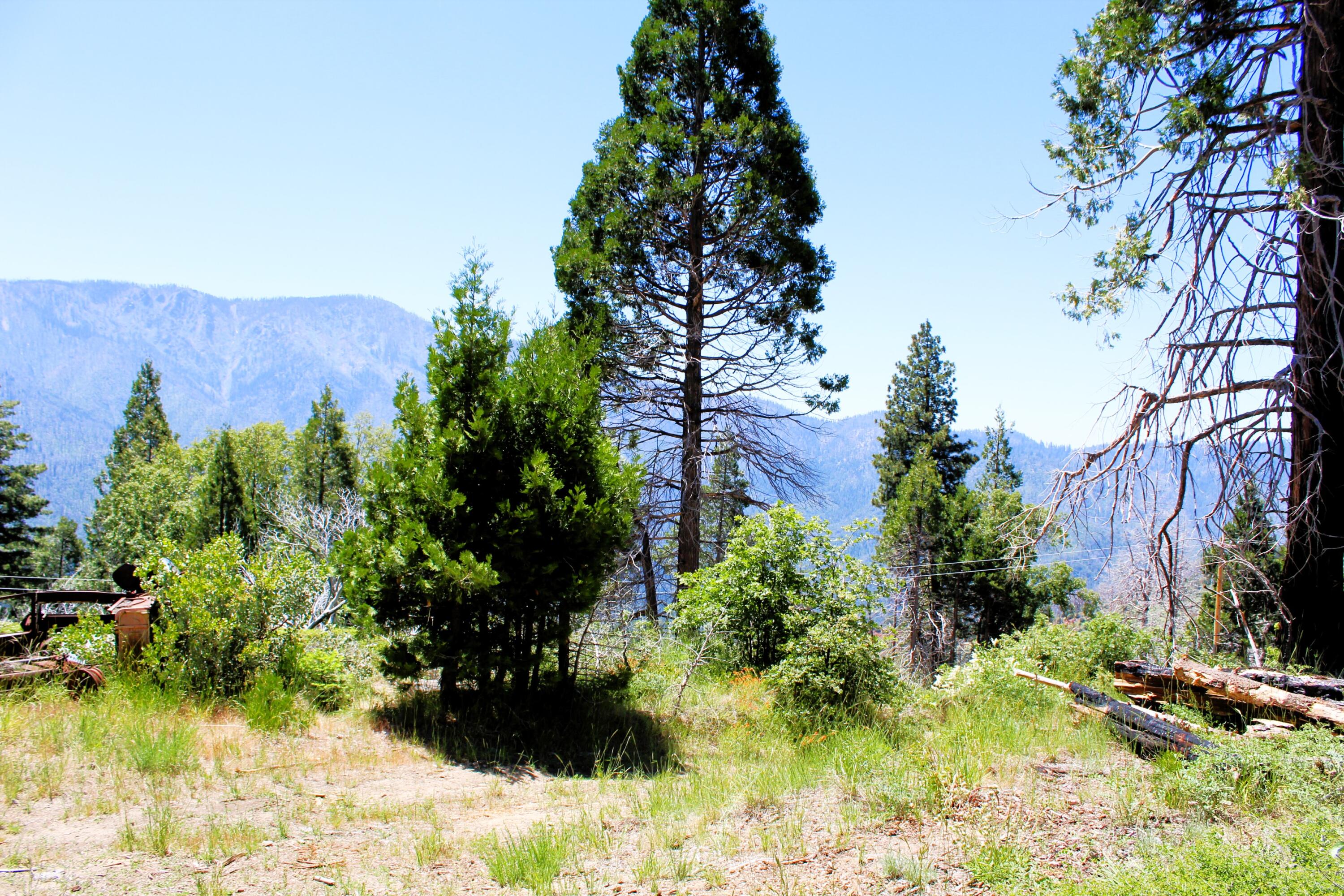 0 Redwood Dr, Springville, CA 93265