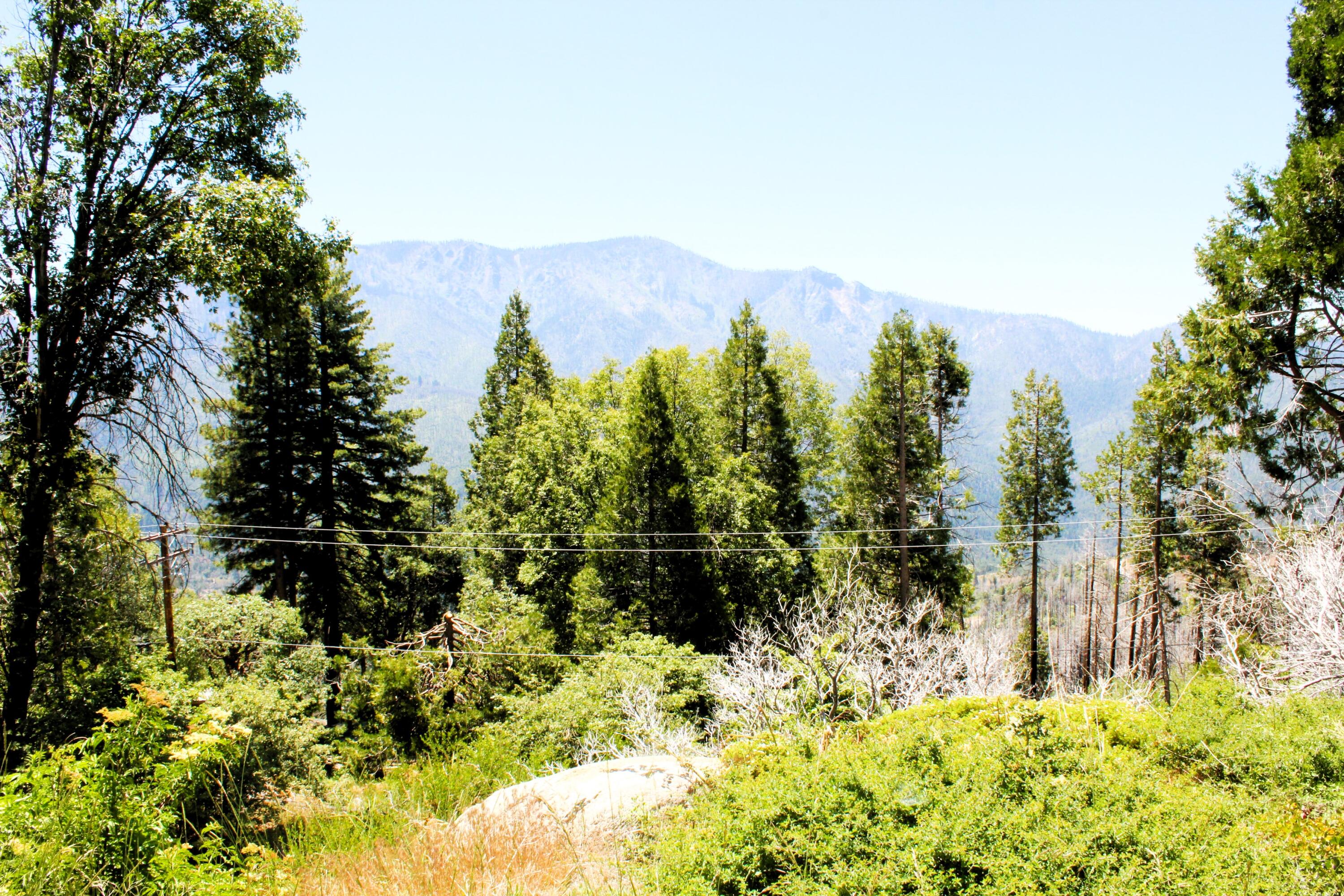 0 Redwood Dr, Springville, CA 93265