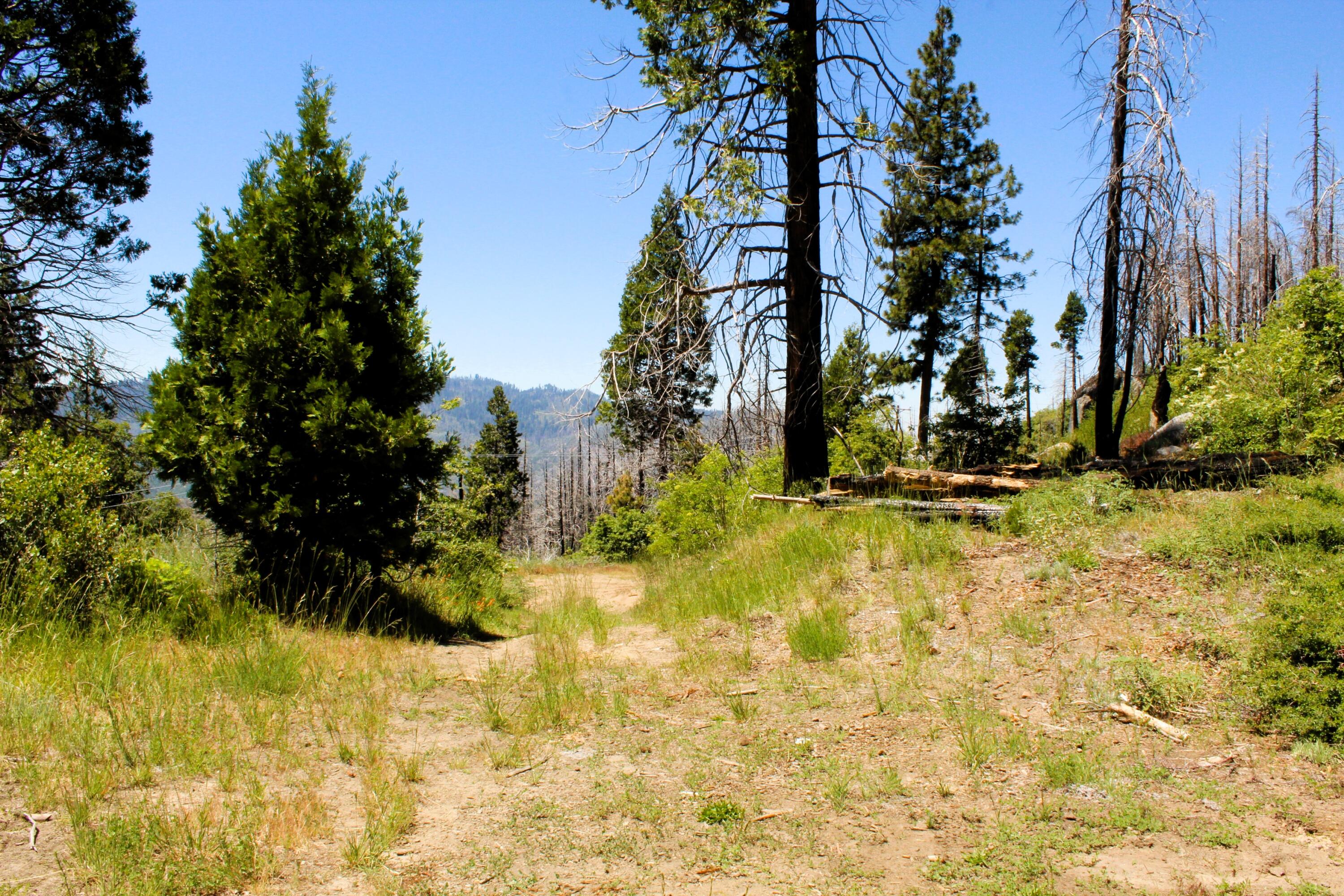 0 Redwood Dr, Springville, CA 93265