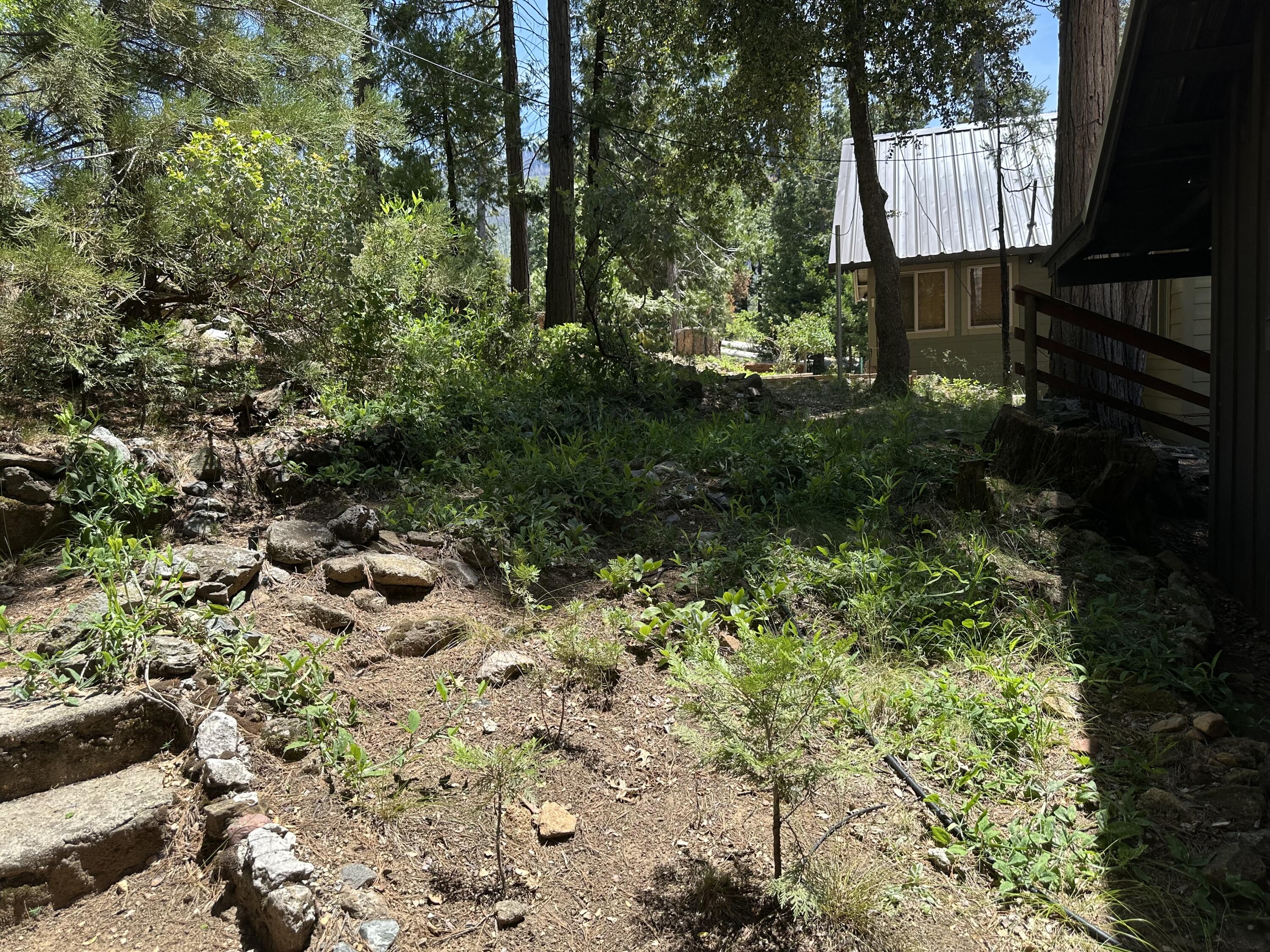 498 Brook Dr, Springville, CA 93265