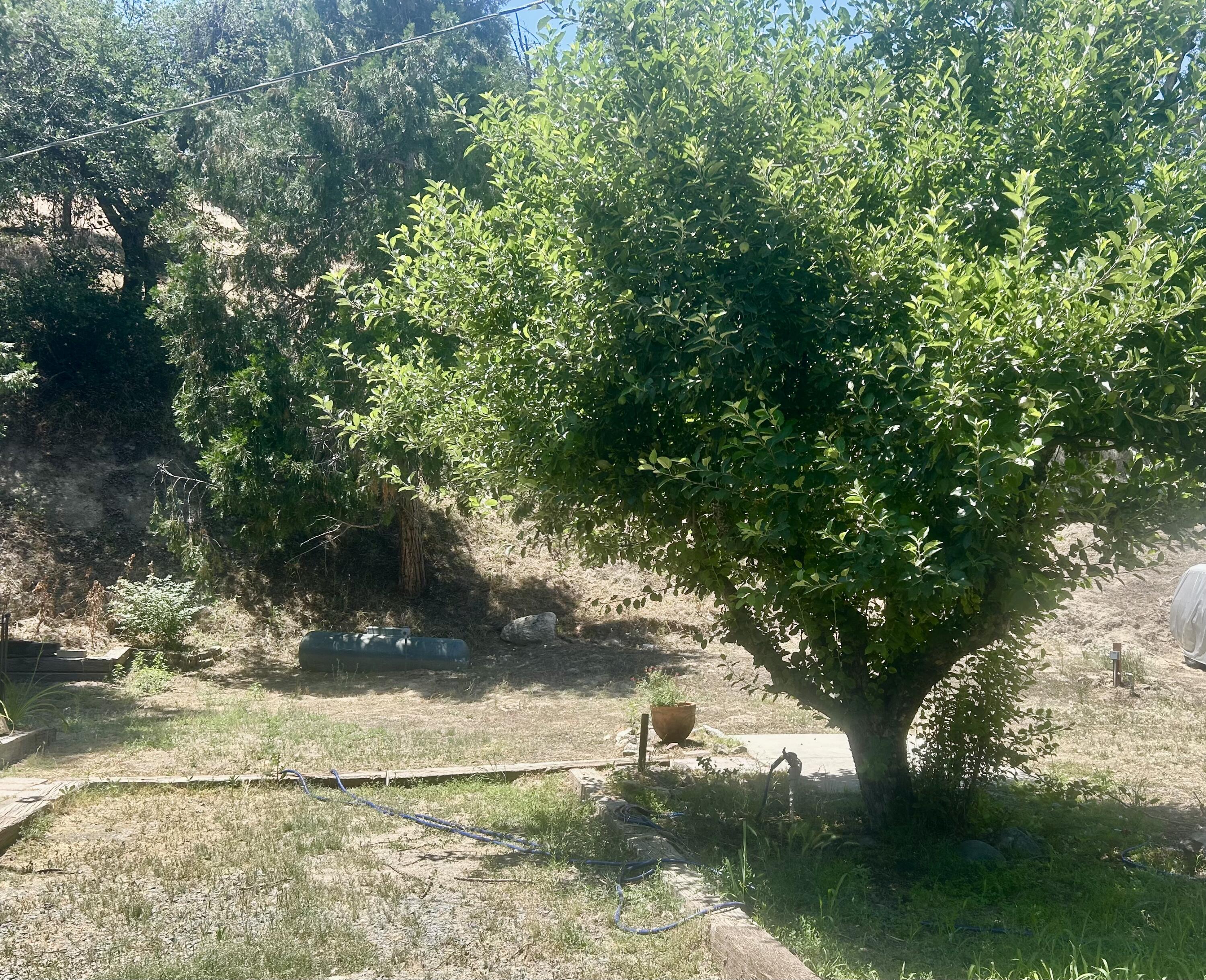 44079 Pine Flat Dr, California Hot Springs, CA 93207