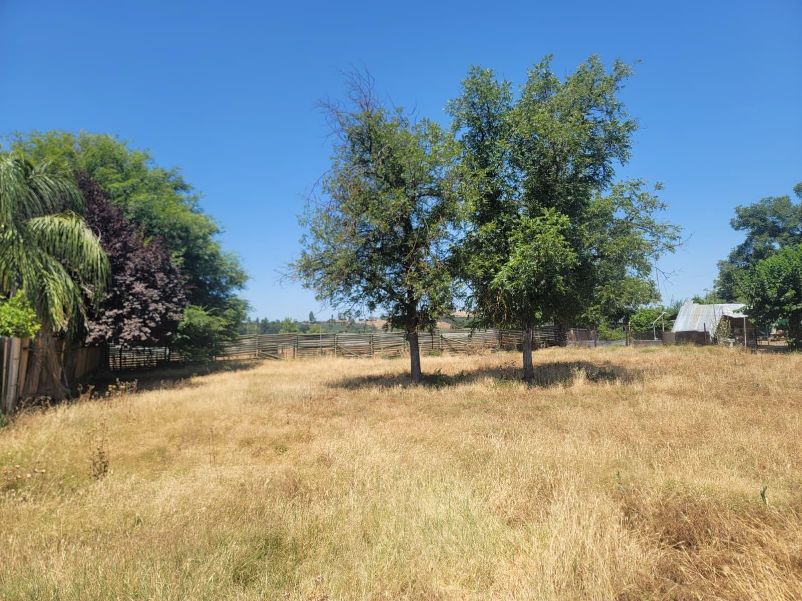 Lots 31&32 Hall Ave, Lindsay, CA 93247