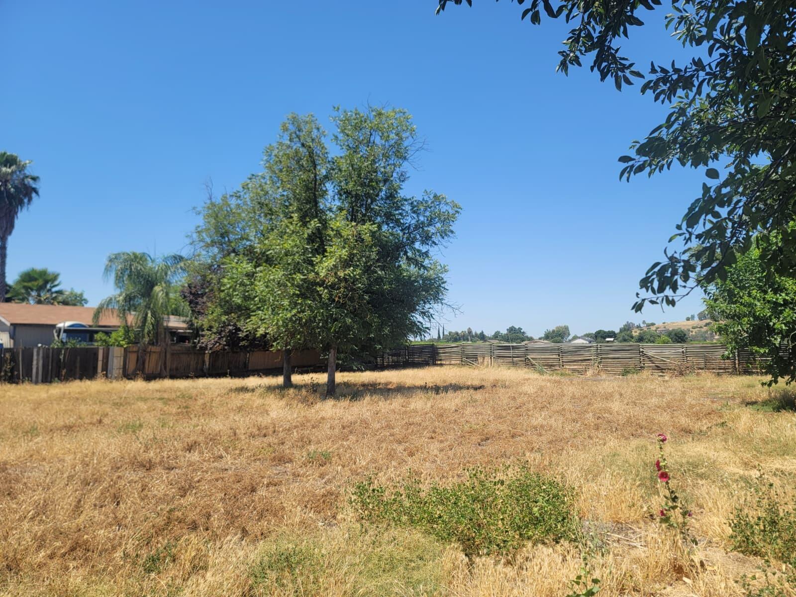 Lots 31&32 Hall Ave, Lindsay, CA 93247