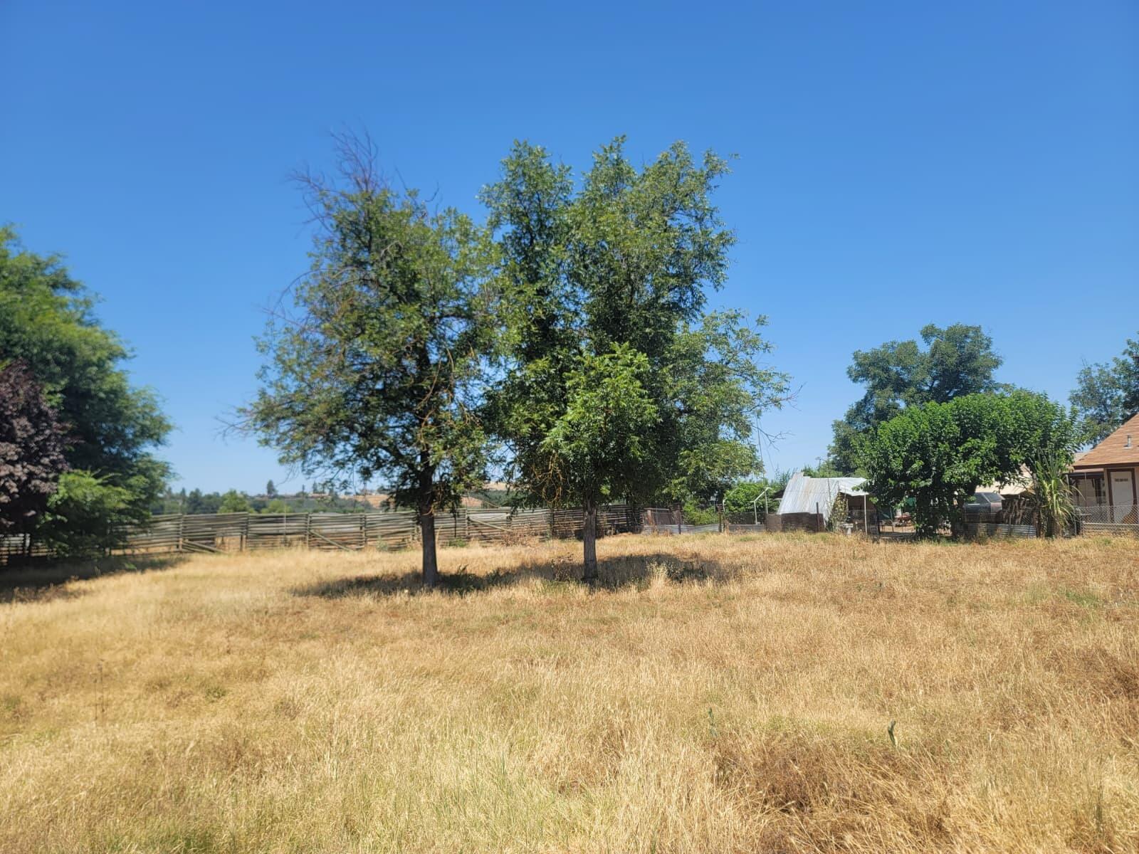 Lots 31&32 Hall Ave, Lindsay, CA 93247