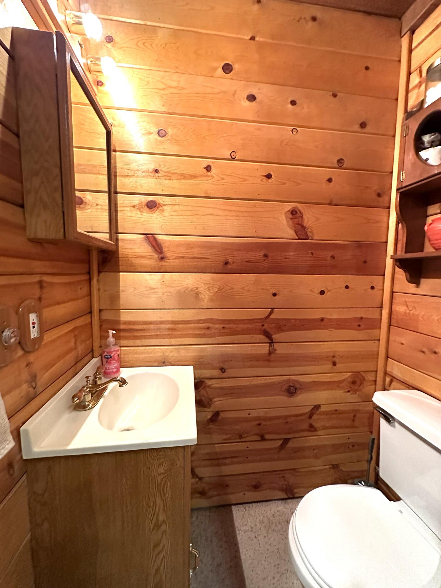 45453 Manter Meadow Dr, California Hot Springs, CA 93207