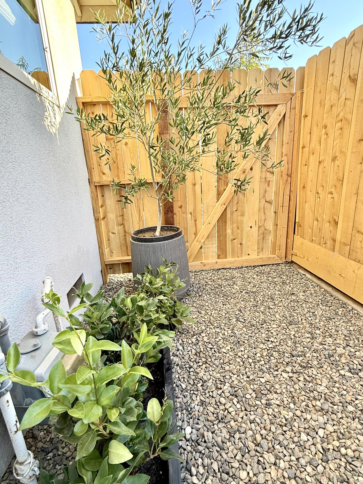 3113 E Laurel Ave, Visalia, CA 93292