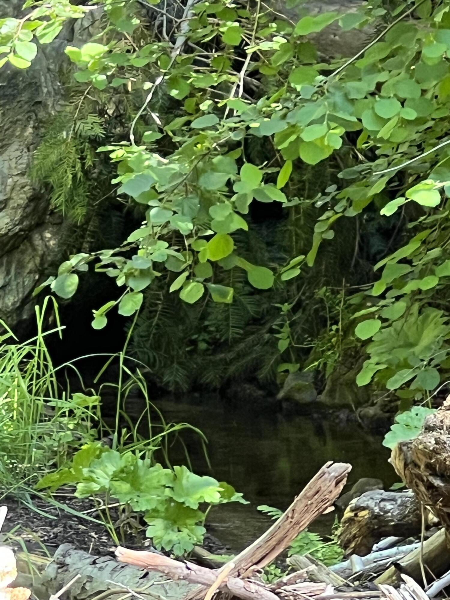 0 Ca-245, Yokuts Valley, CA 93675