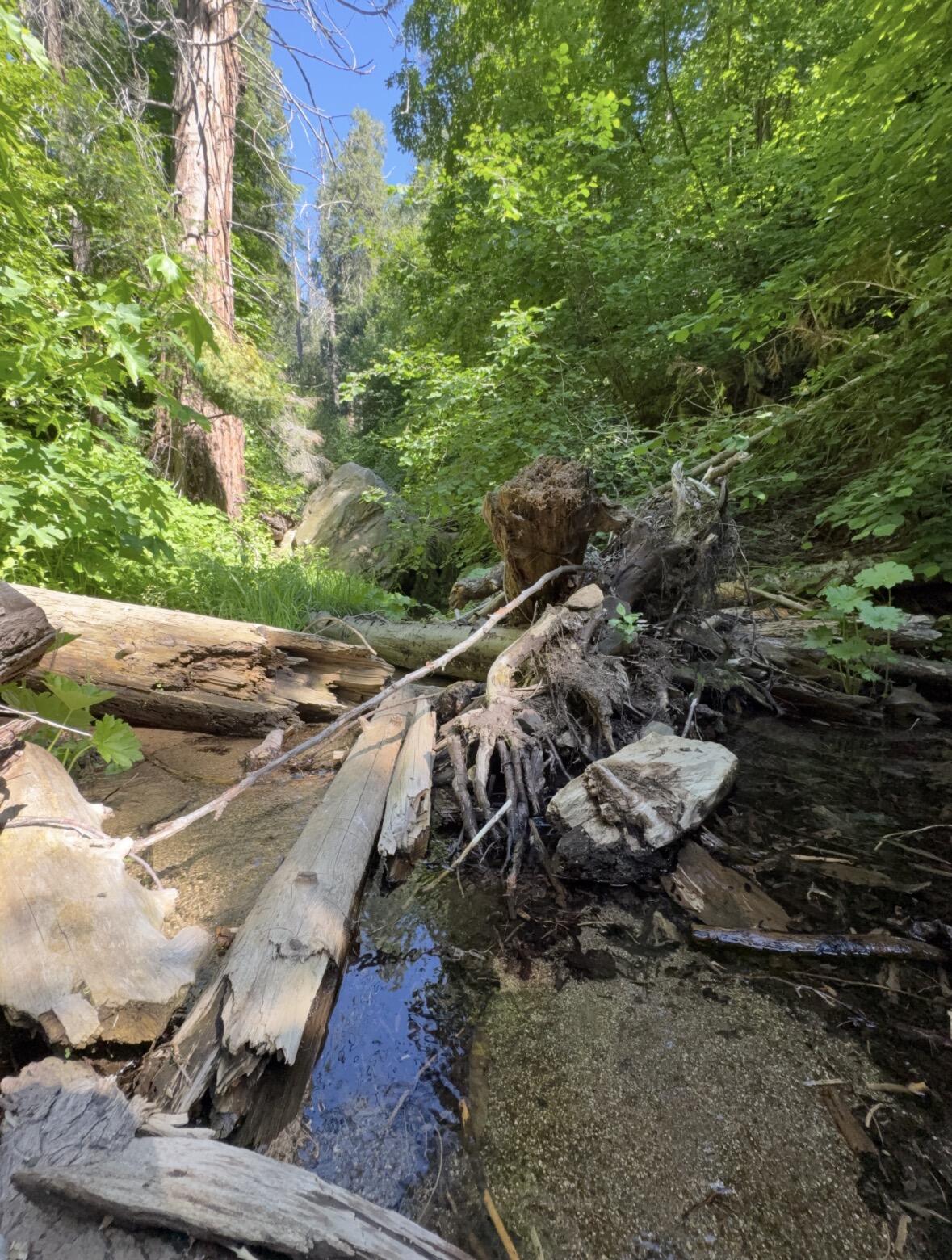 0 Ca-245, Yokuts Valley, CA 93675