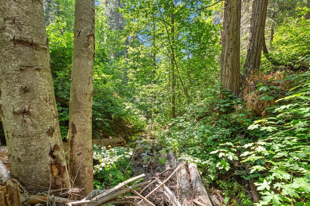 0 Ca-245, Yokuts Valley, CA 93675