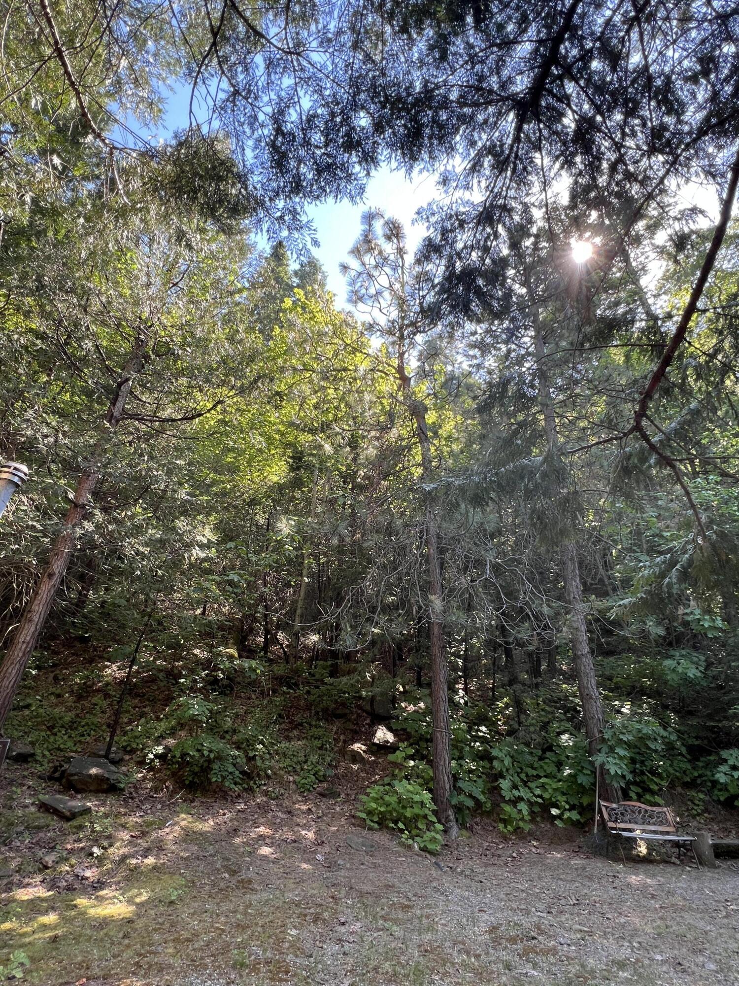 0 Ca-245, Yokuts Valley, CA 93675