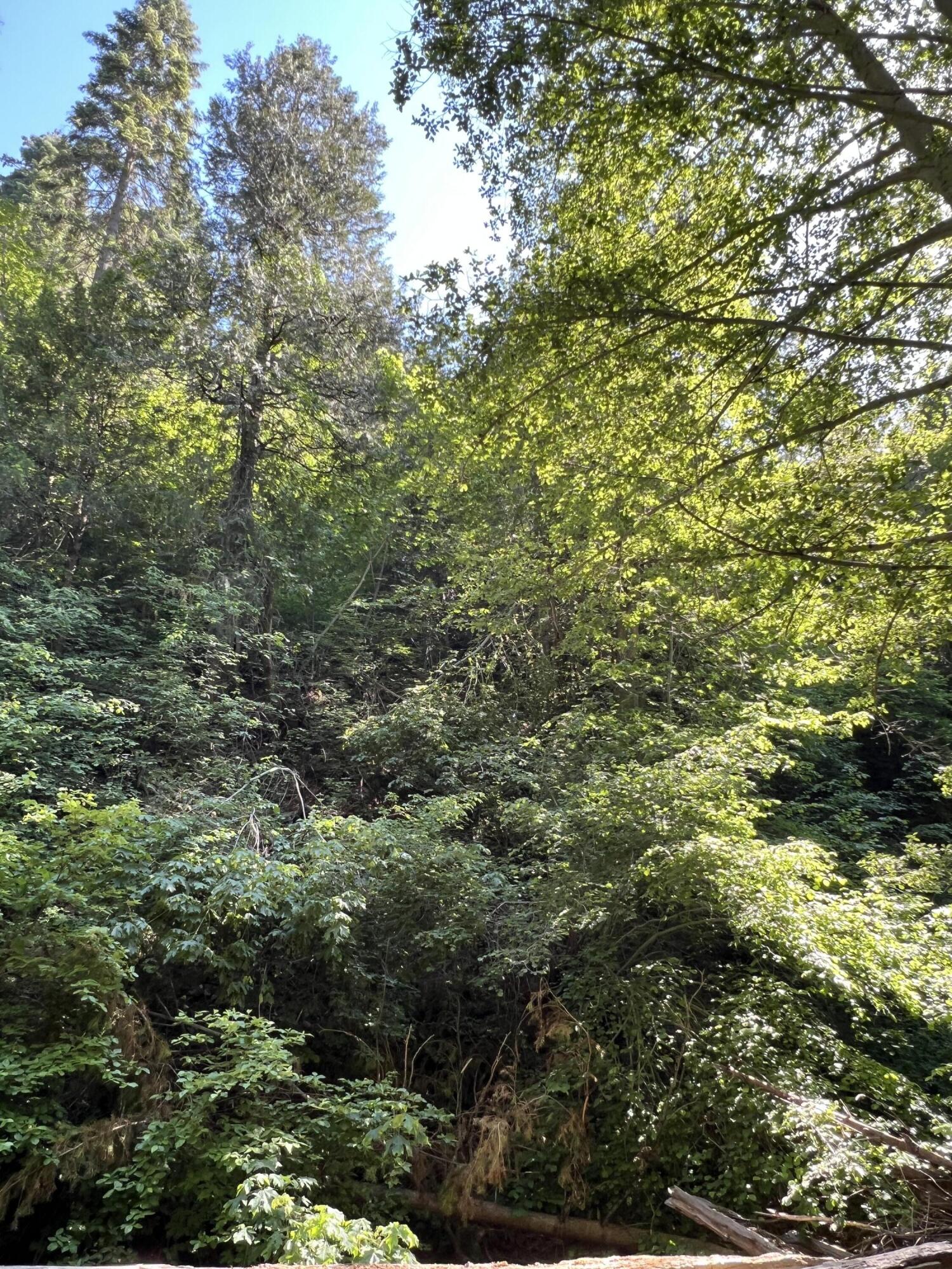 0 Ca-245, Yokuts Valley, CA 93675