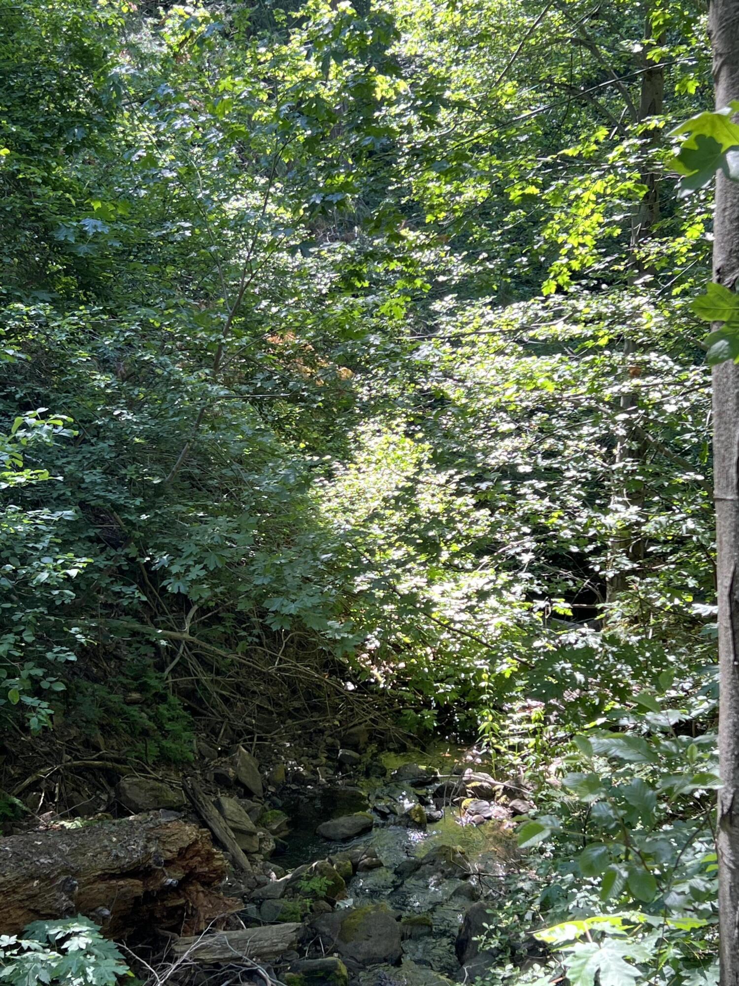 0 Ca-245, Yokuts Valley, CA 93675