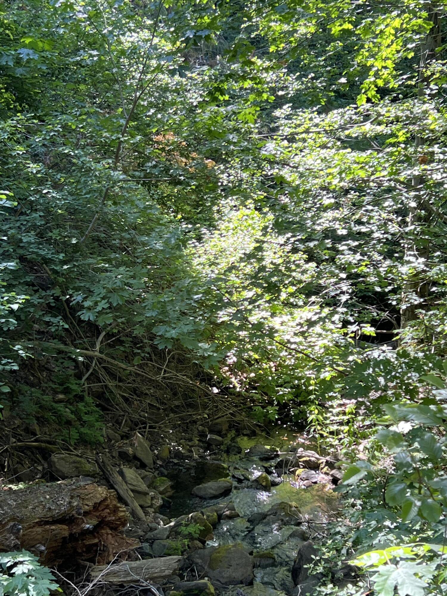 0 Ca-245, Yokuts Valley, CA 93675