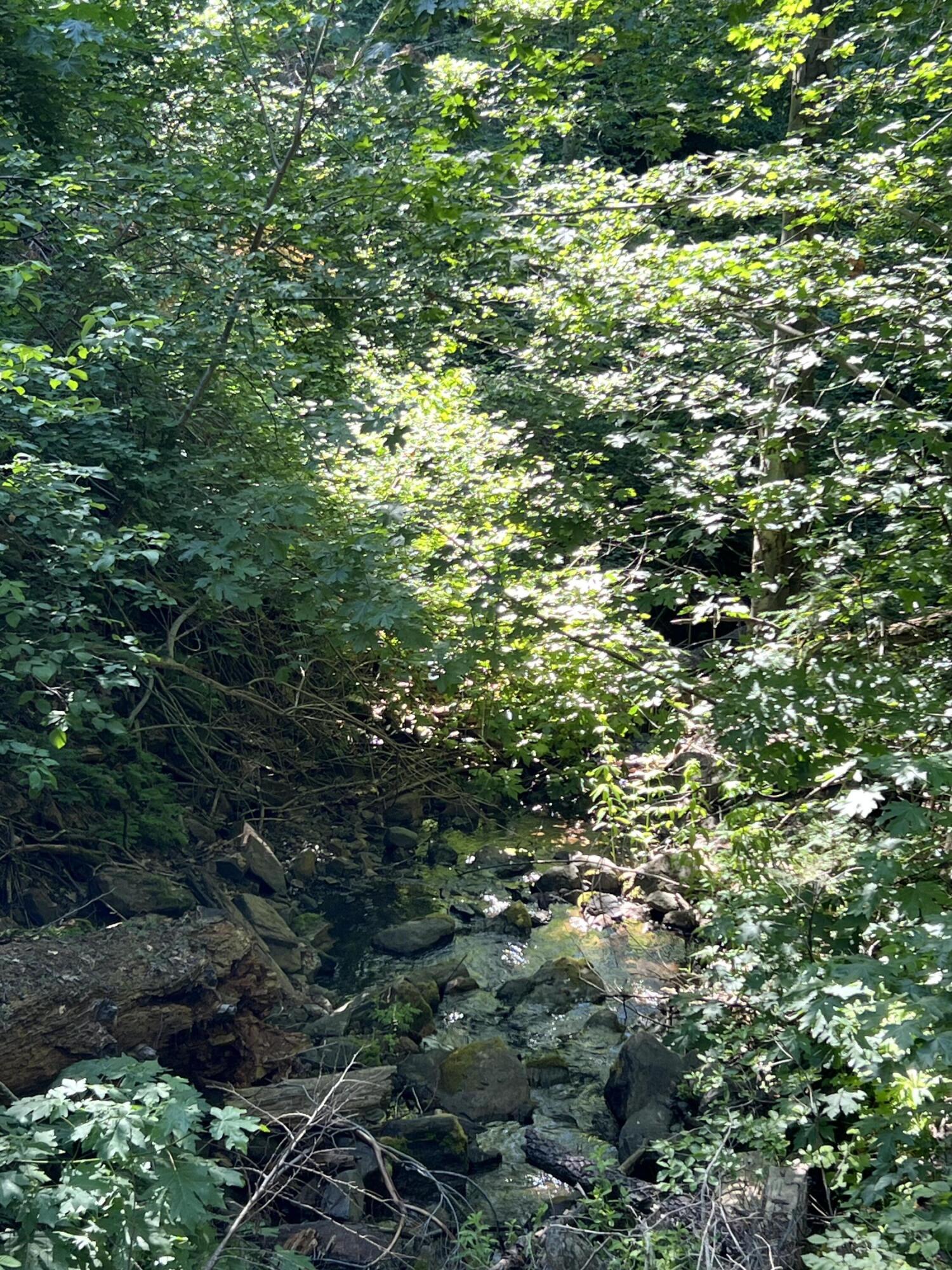 0 Ca-245, Yokuts Valley, CA 93675