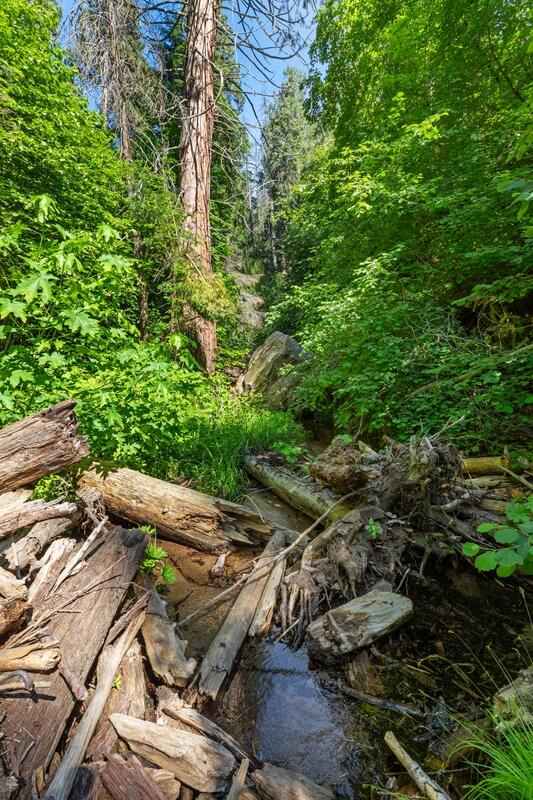 0 Ca-245, Yokuts Valley, CA 93675