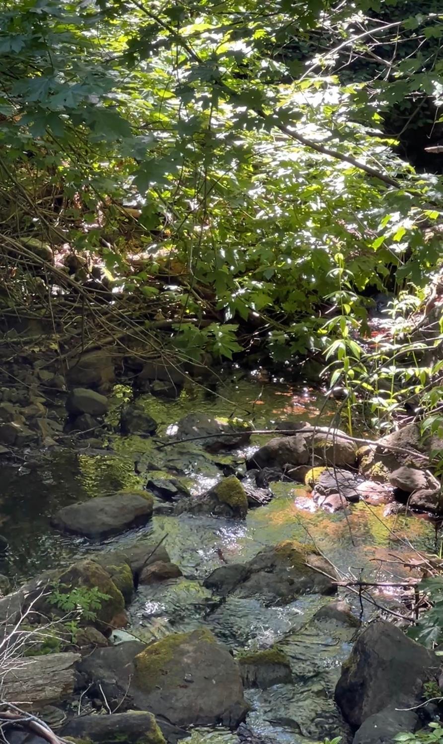 0 Ca-245, Yokuts Valley, CA 93675