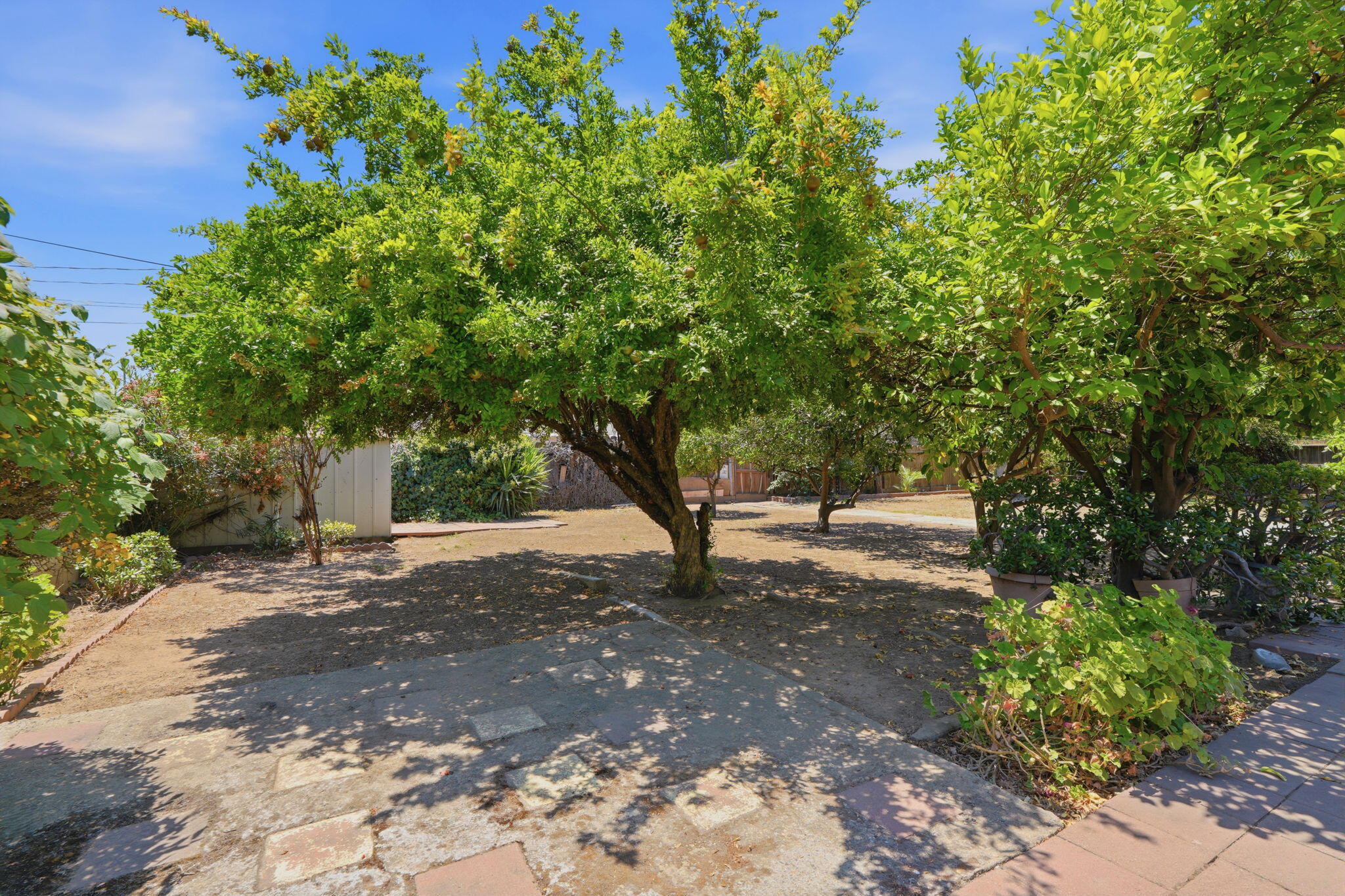 1522 E Bolinger Way, Dinuba, CA 93618
