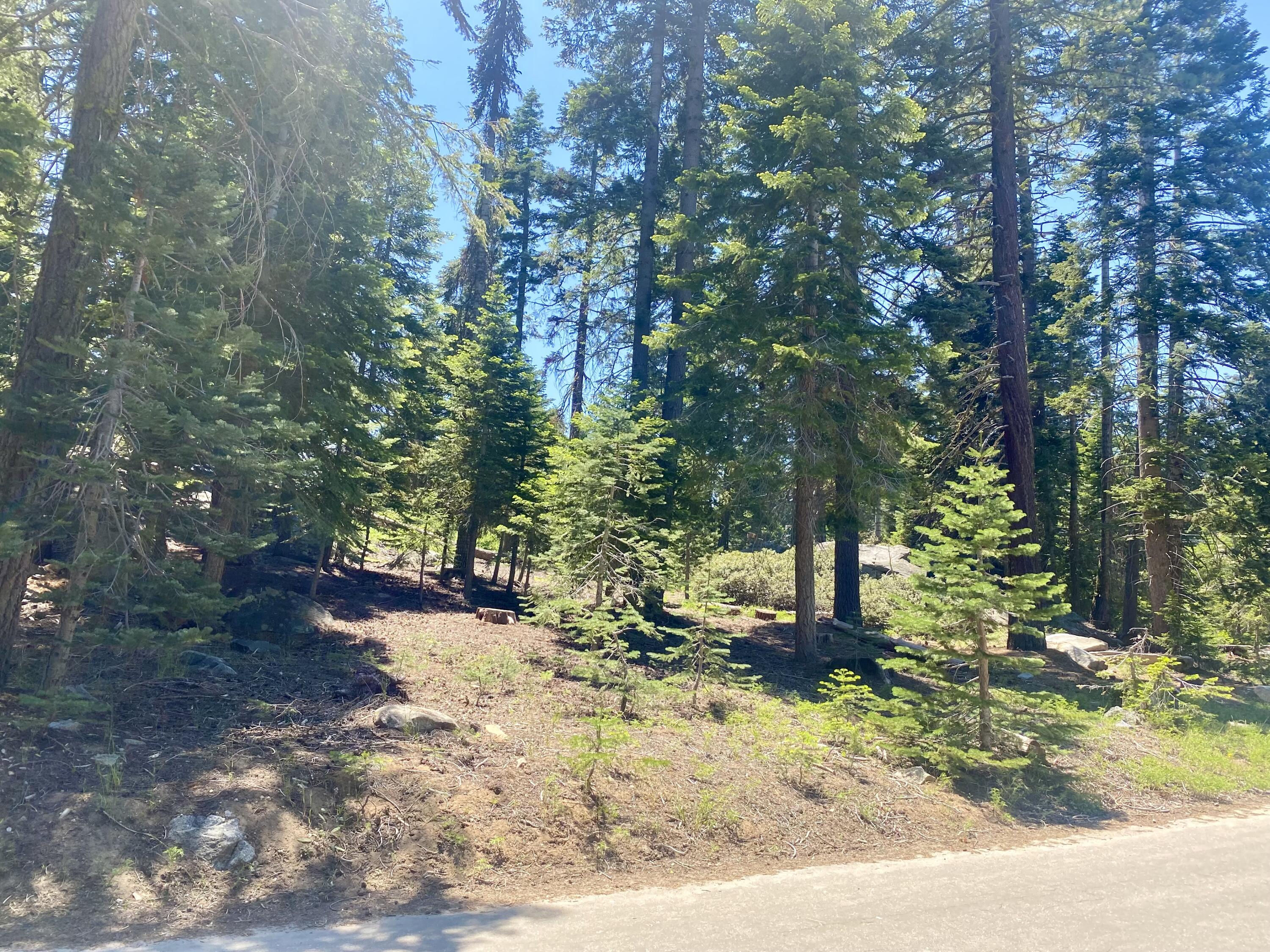 57572 Ponderosa Dr, Springville, CA 93265