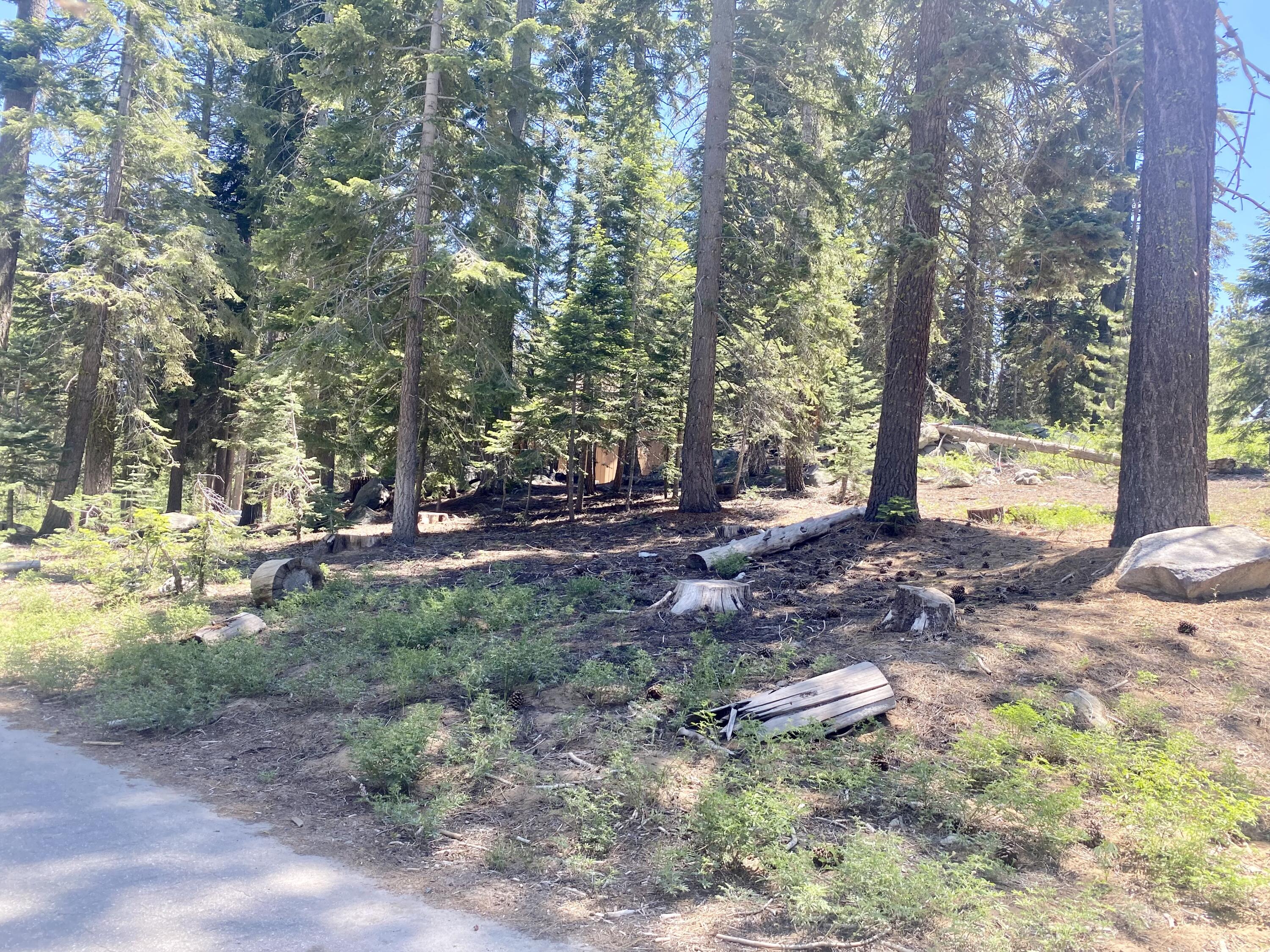 57572 Ponderosa Dr, Springville, CA 93265