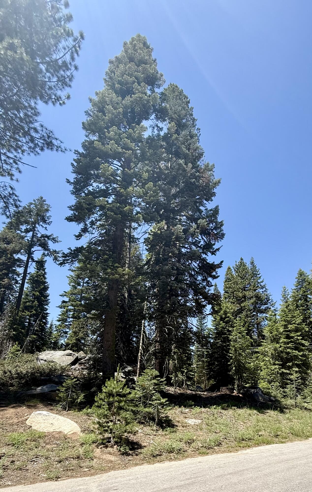 57572 Ponderosa Dr, Springville, CA 93265