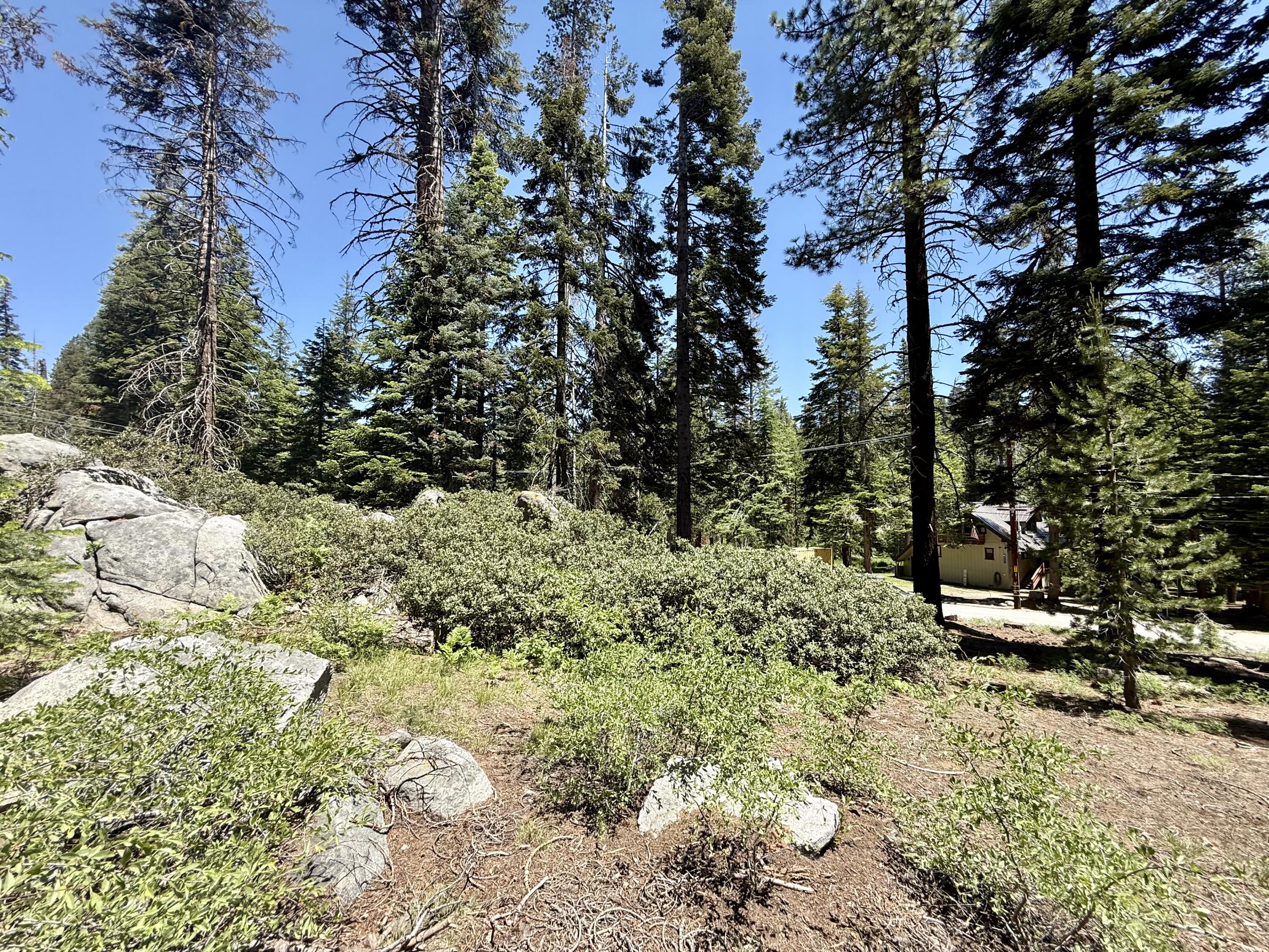 57572 Ponderosa Dr, Springville, CA 93265