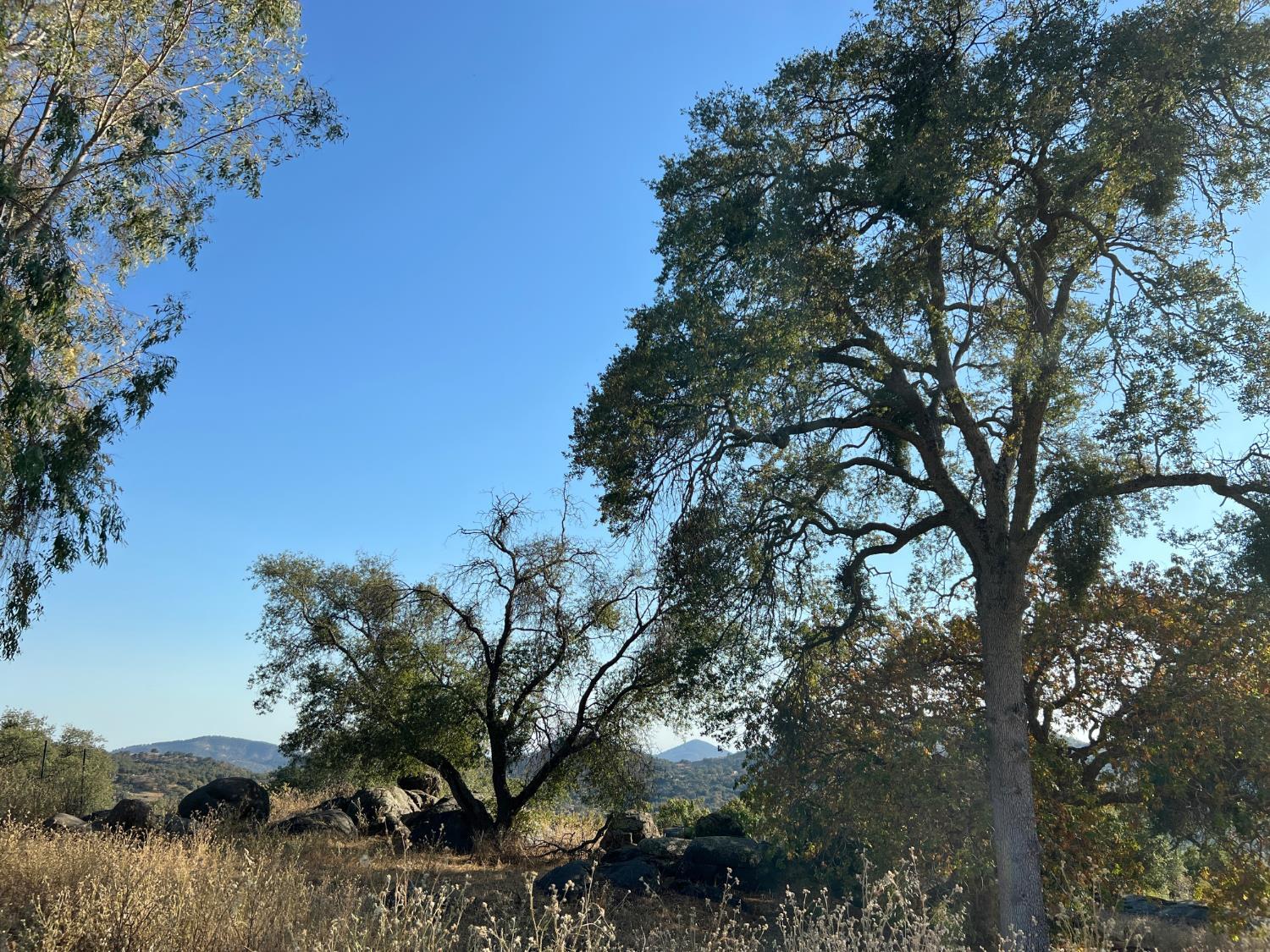 46396 Redwing Ln, Yokuts Valley, CA 93675