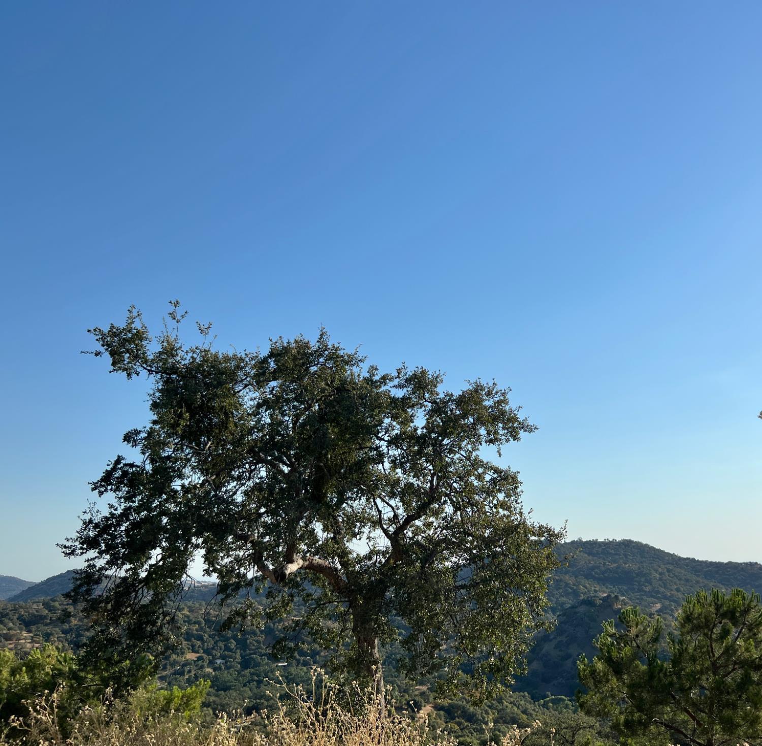 46396 Redwing Ln, Yokuts Valley, CA 93675