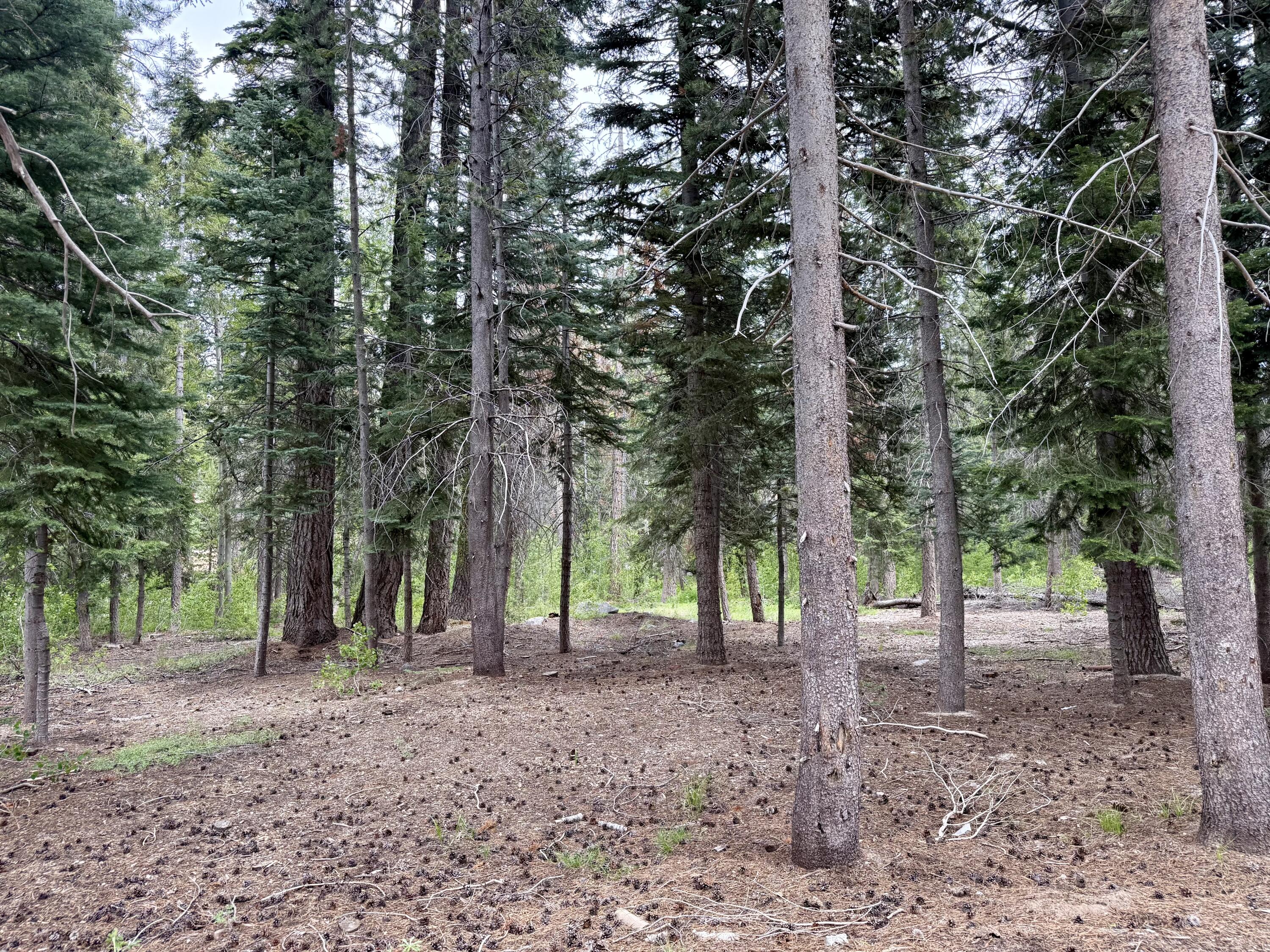 0 Ponderosa Drive, Springville, CA 93265