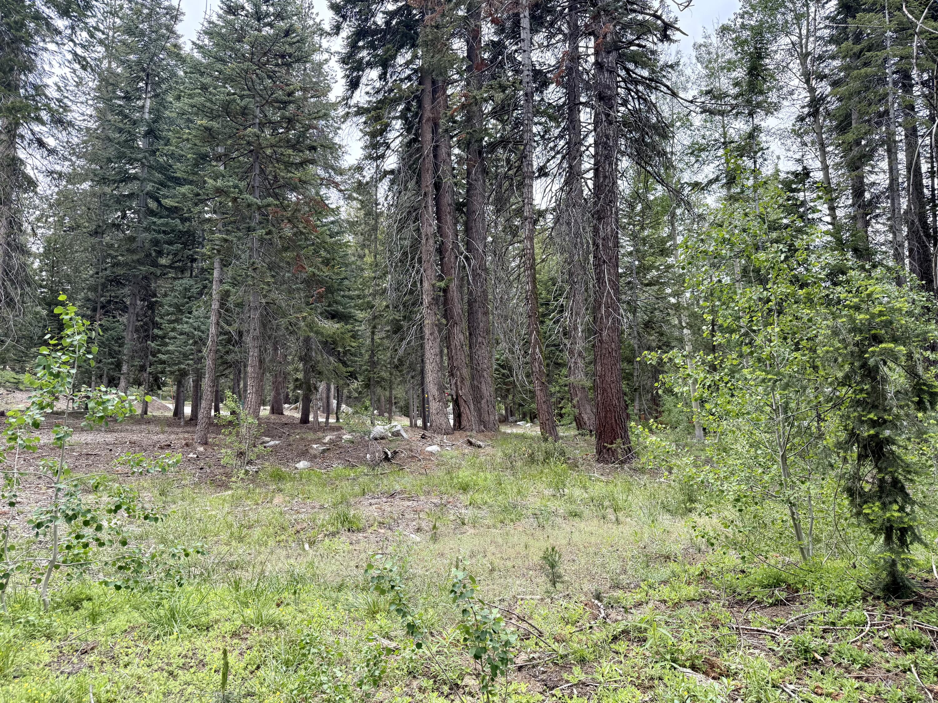 0 Ponderosa Drive, Springville, CA 93265
