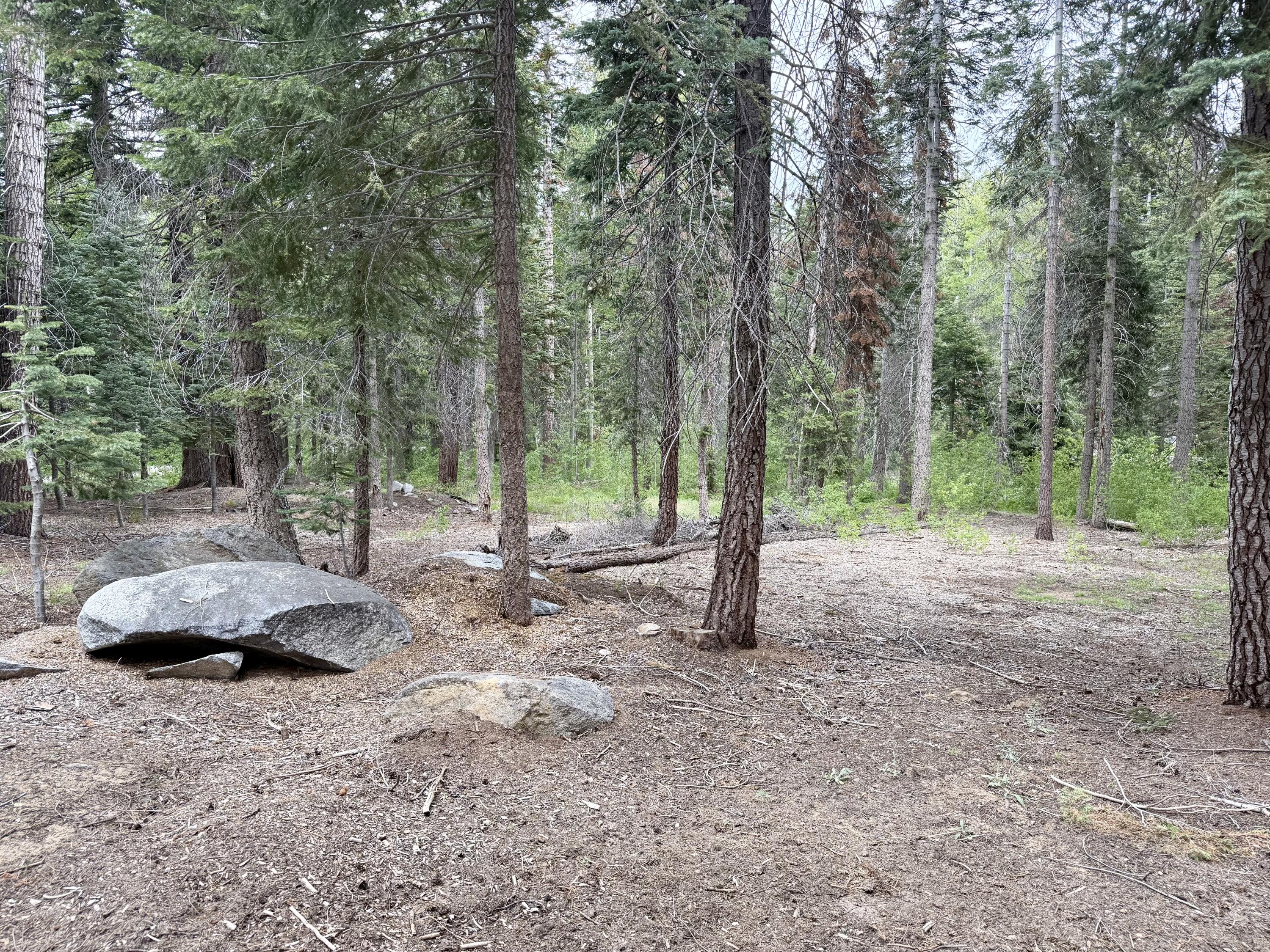 0 Ponderosa Drive, Springville, CA 93265