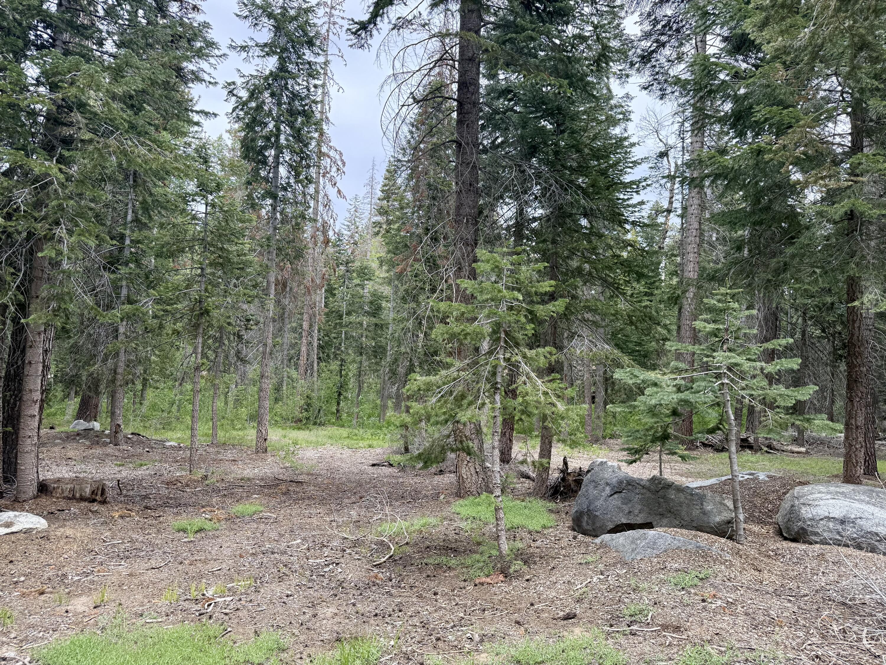 0 Ponderosa Drive, Springville, CA 93265