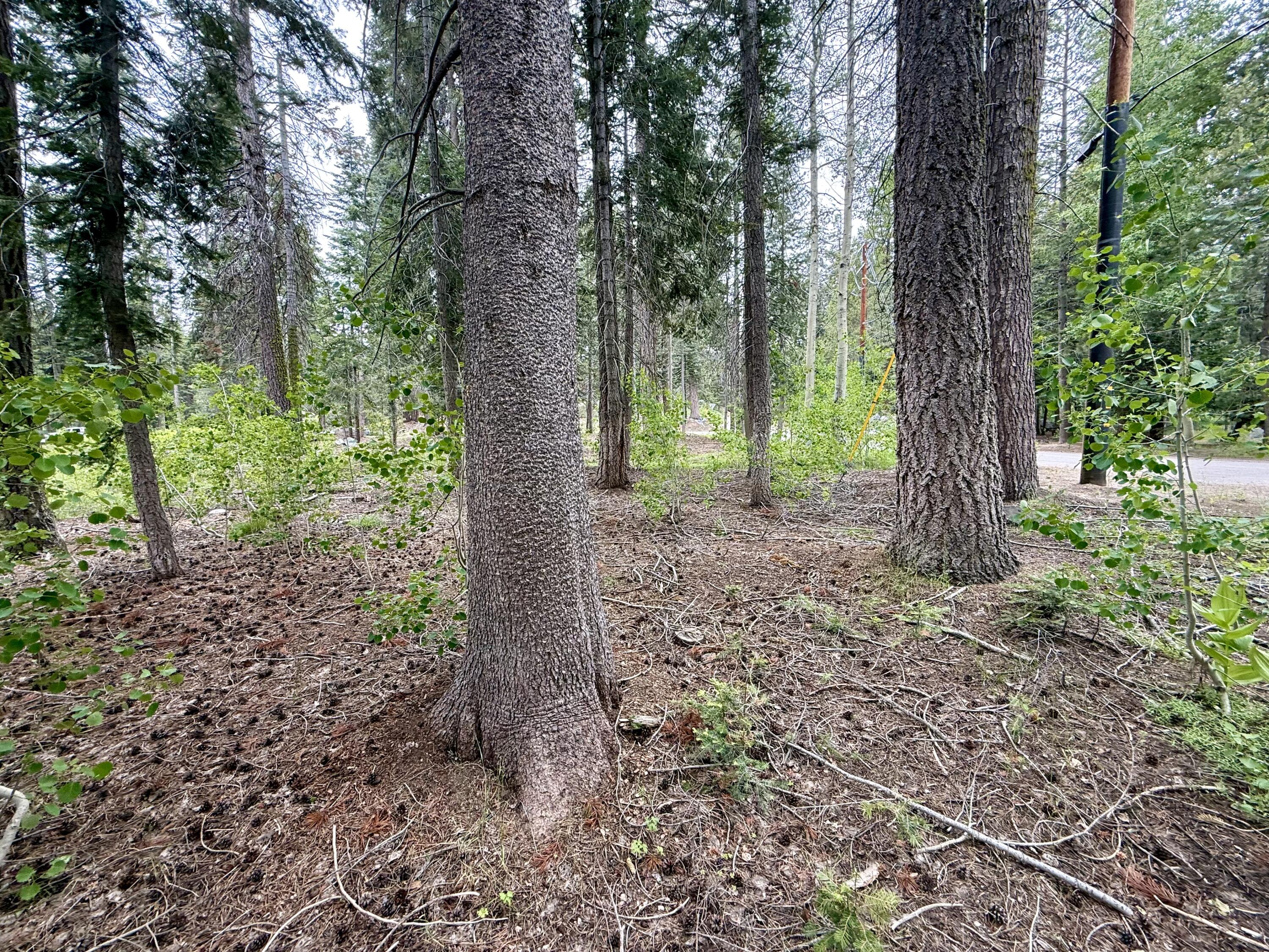 0 Ponderosa Drive, Springville, CA 93265