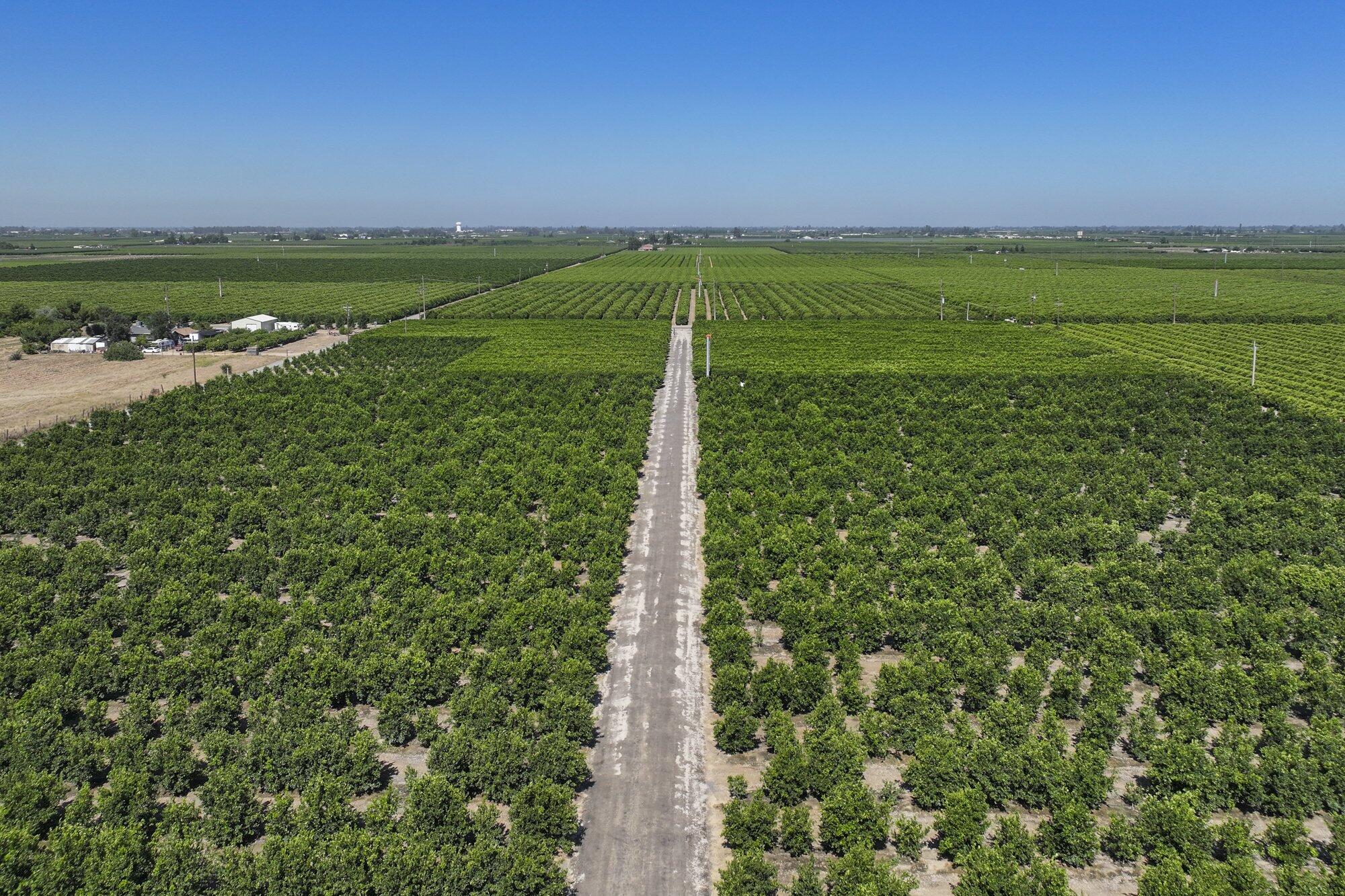 9464 Porter Ave, Dinuba, CA 93618