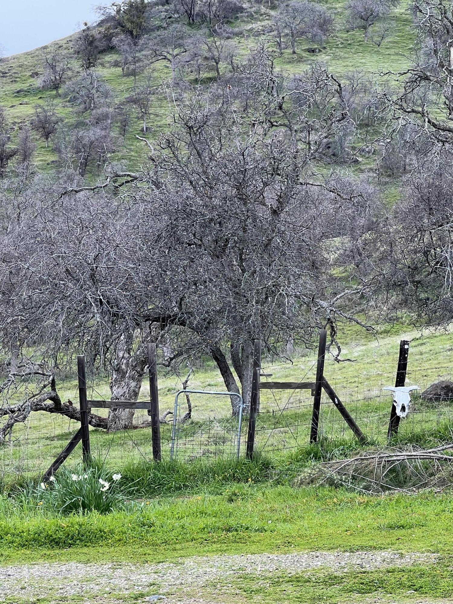 30284 Bear Mountain Rd, Yokuts Valley, CA 93675