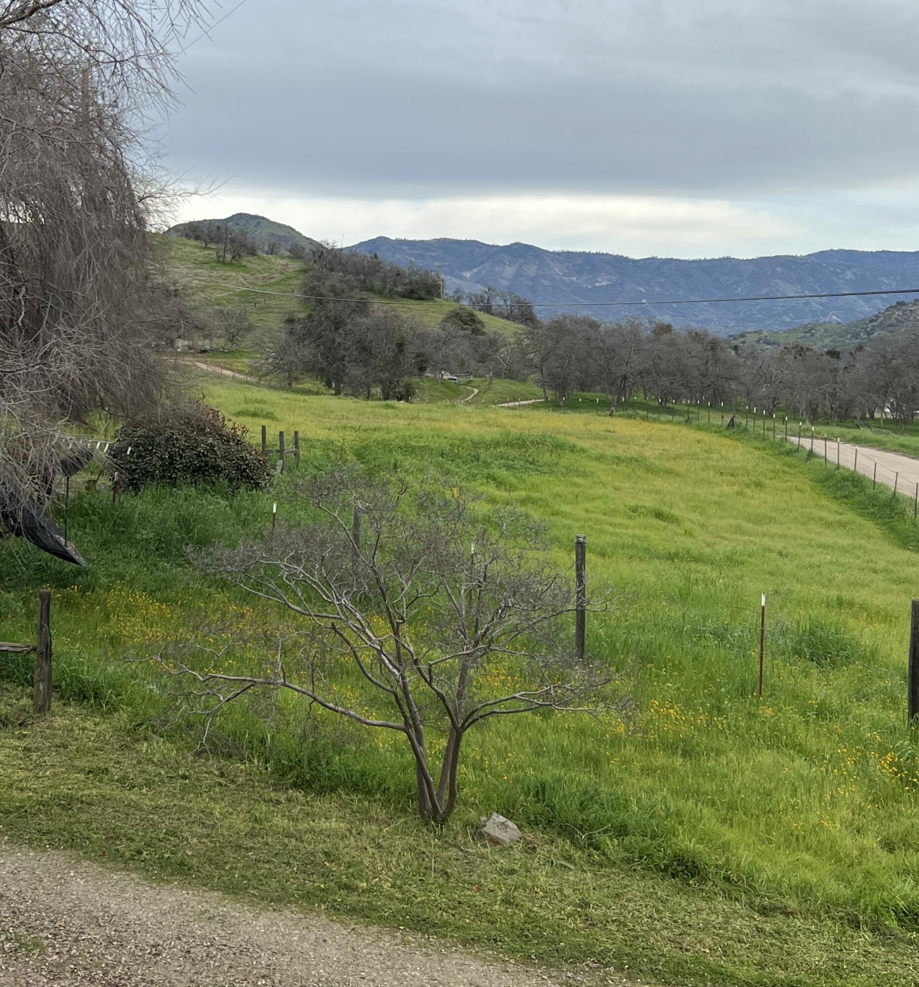 30284 Bear Mountain Rd, Yokuts Valley, CA 93675