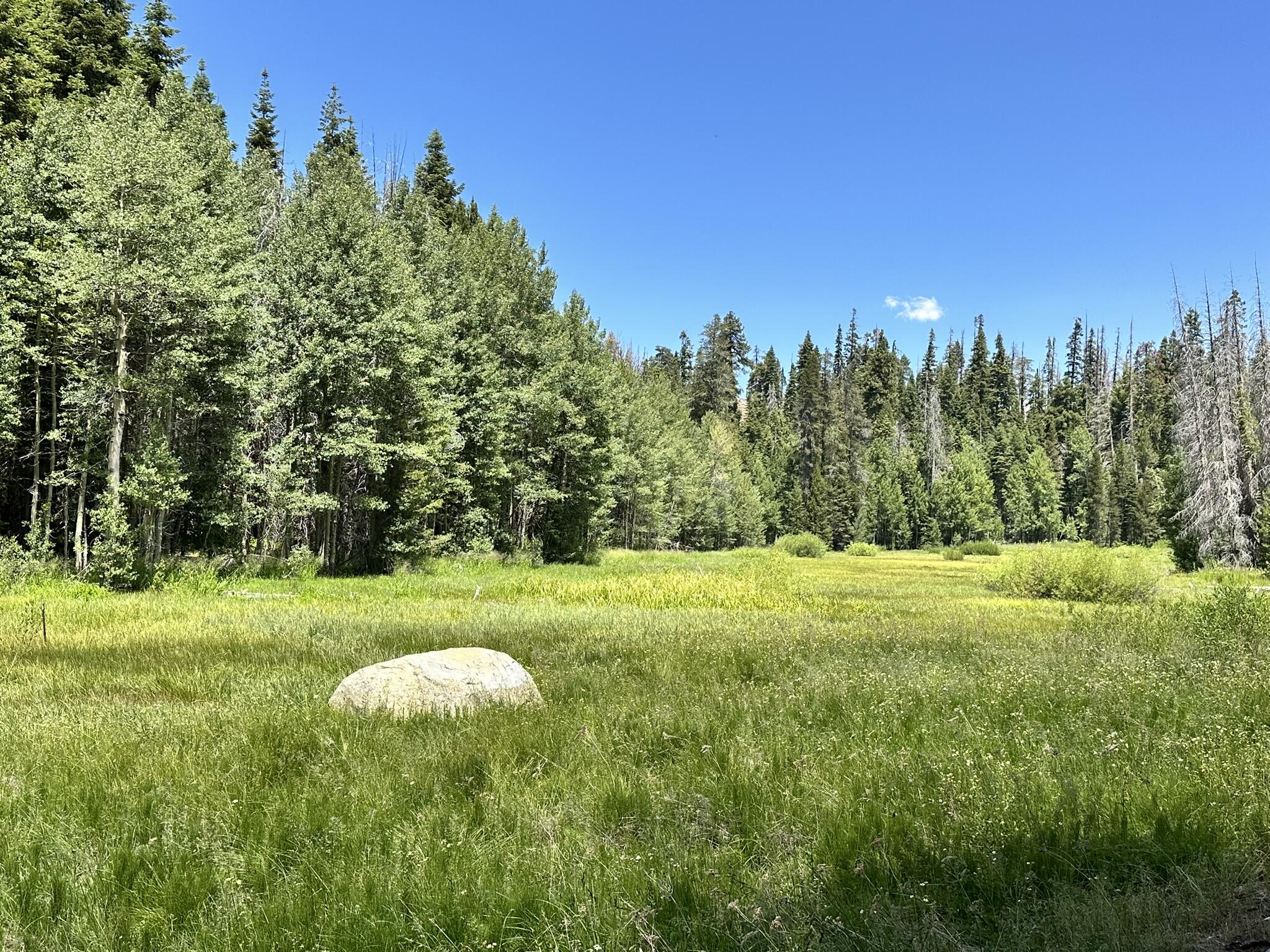 57792 Fawn Dr, Springville, CA 93265