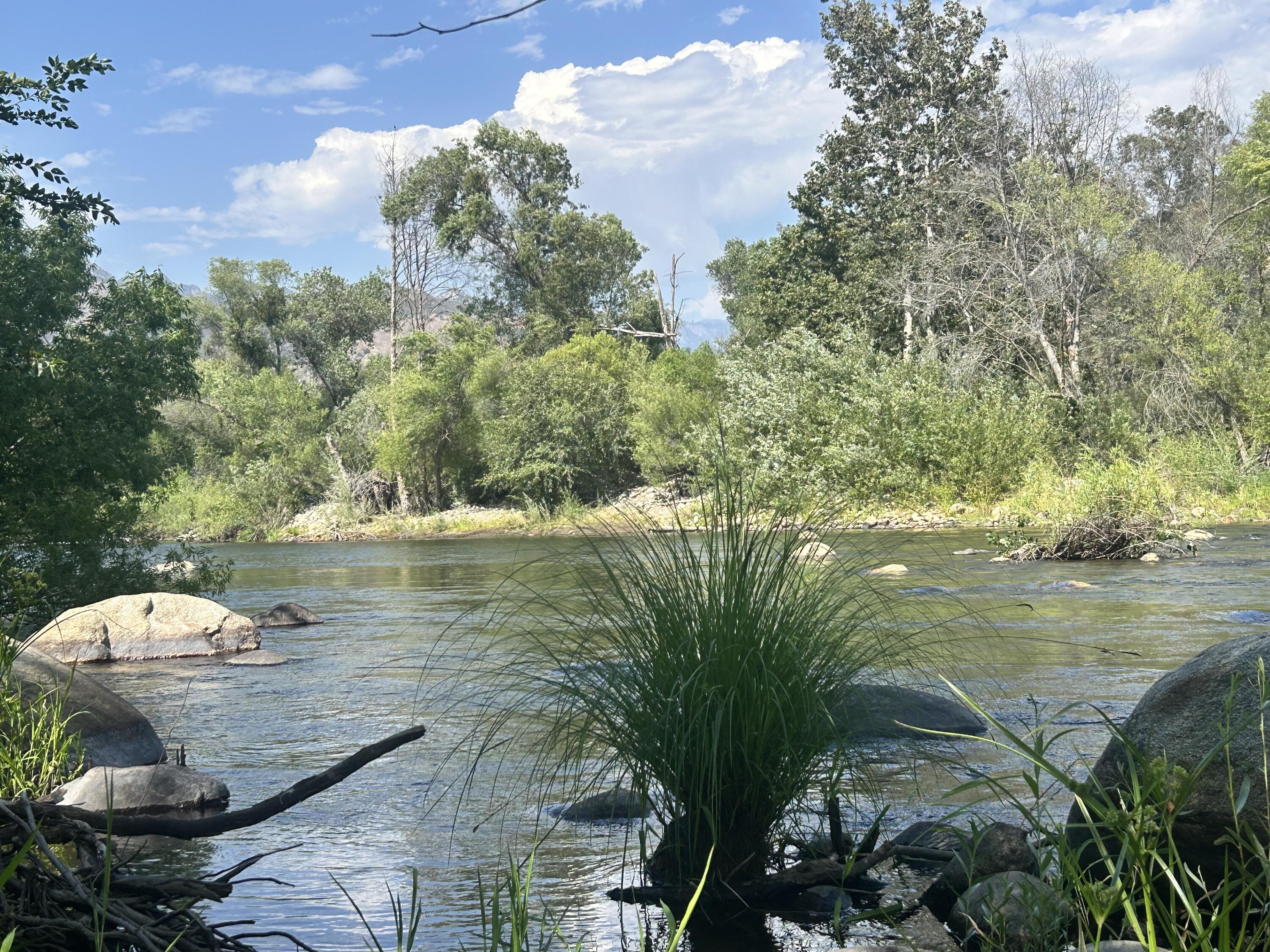 42001 N Fork Dr, Three Rivers, CA 93271