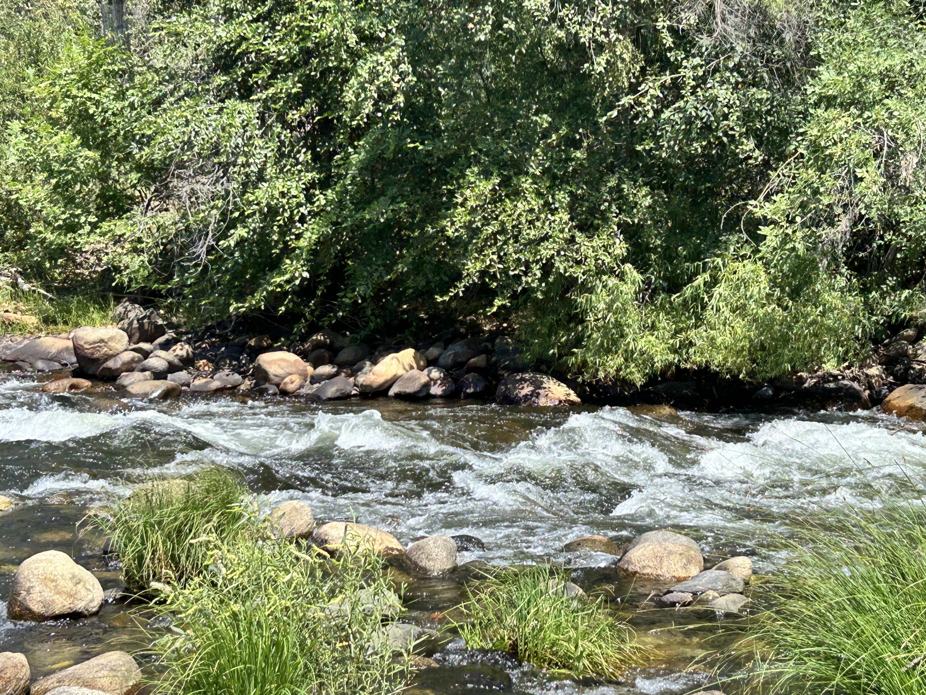 42001 N Fork Dr, Three Rivers, CA 93271