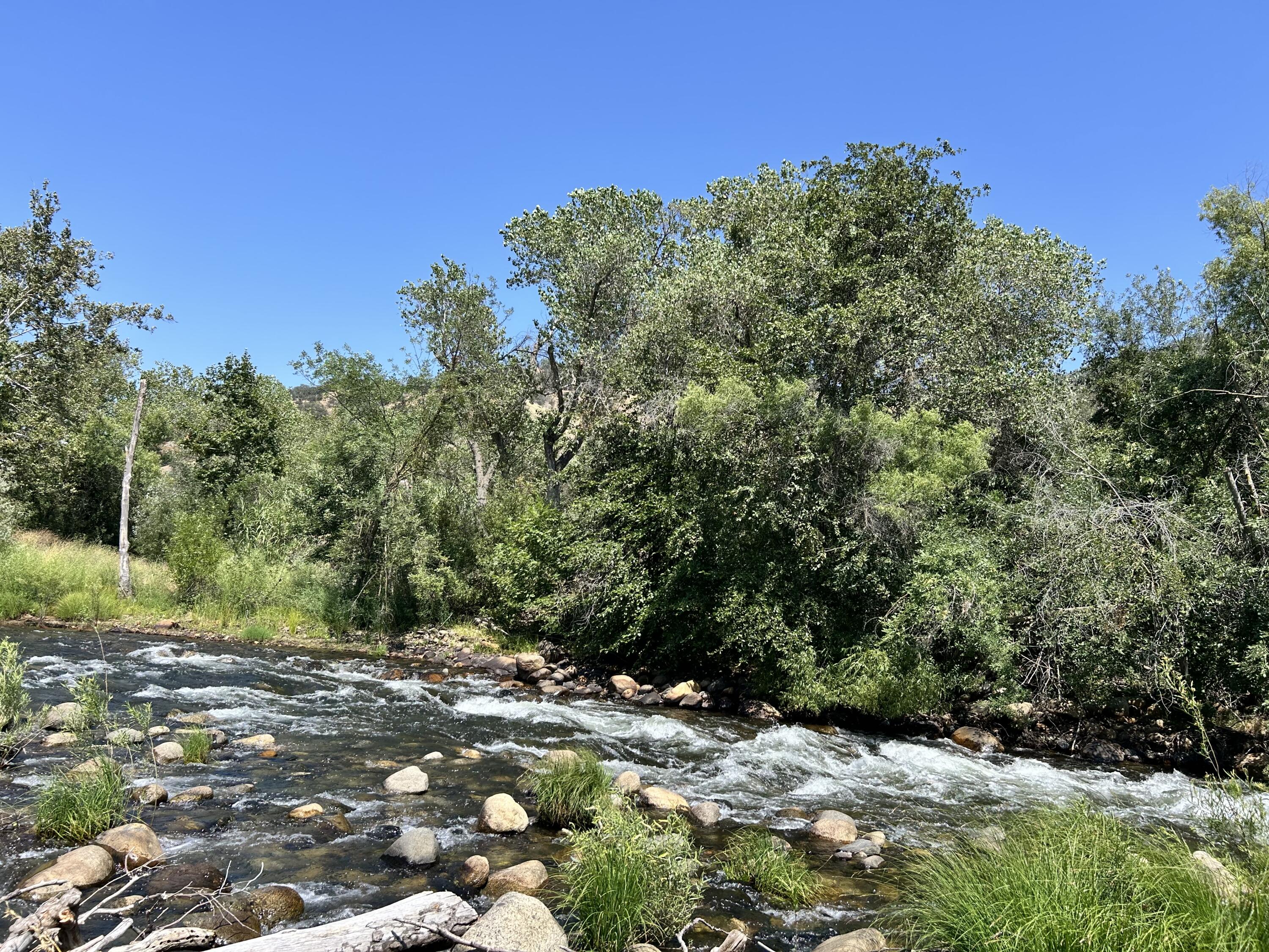 42001 N Fork Dr, Three Rivers, CA 93271