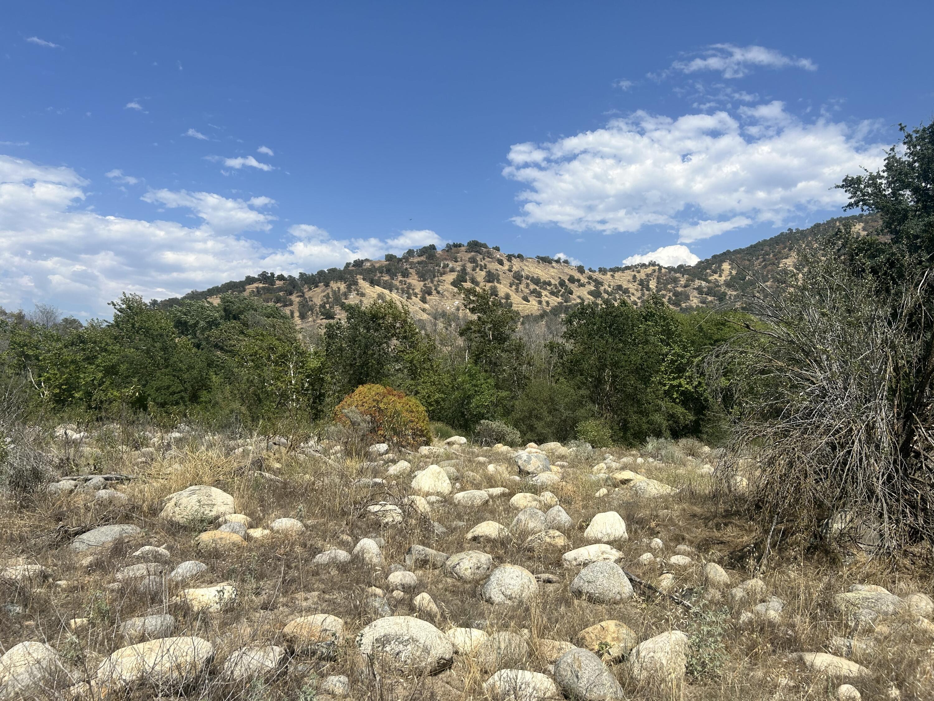 42001 N Fork Dr, Three Rivers, CA 93271