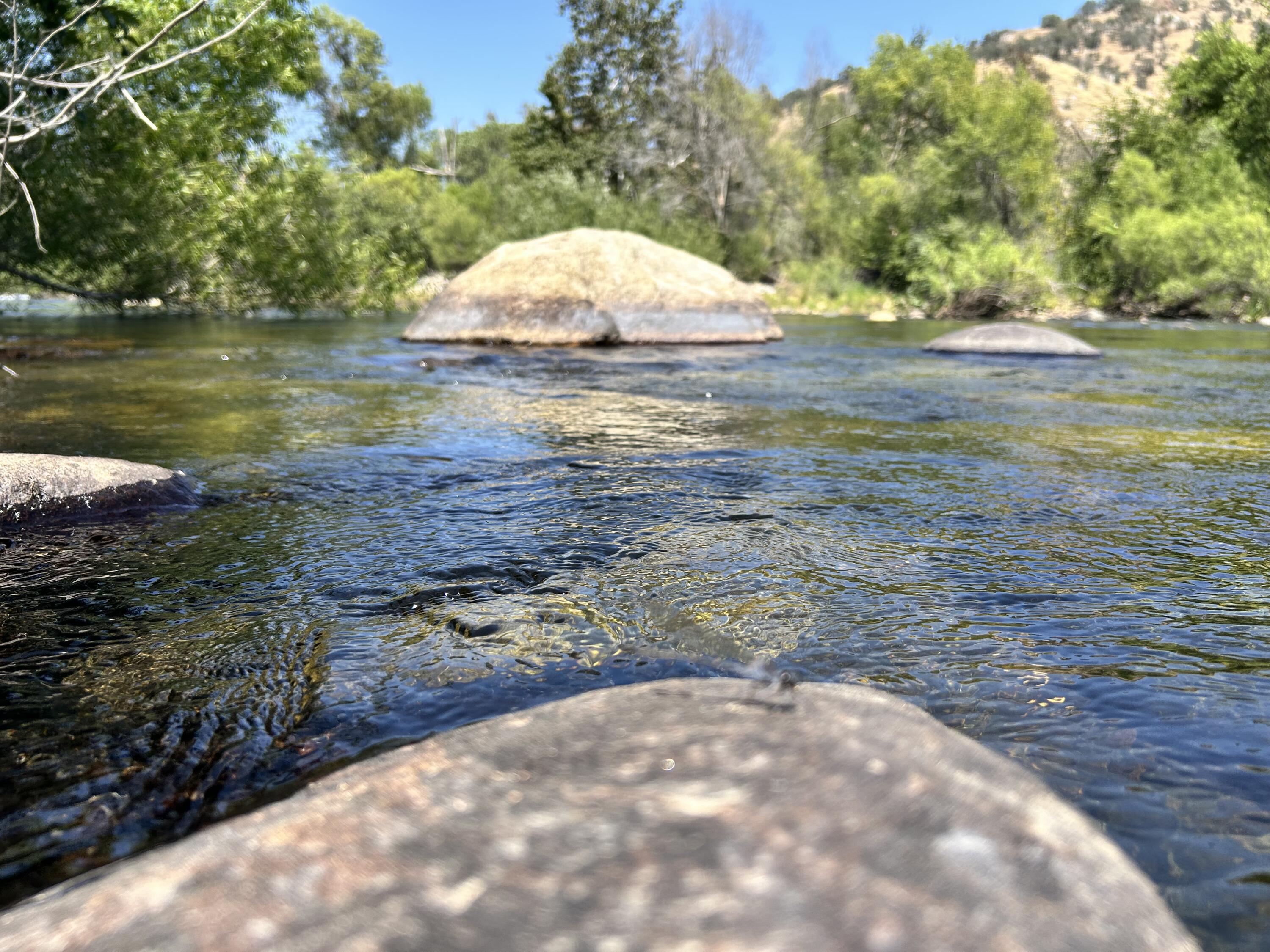 42001 N Fork Dr, Three Rivers, CA 93271