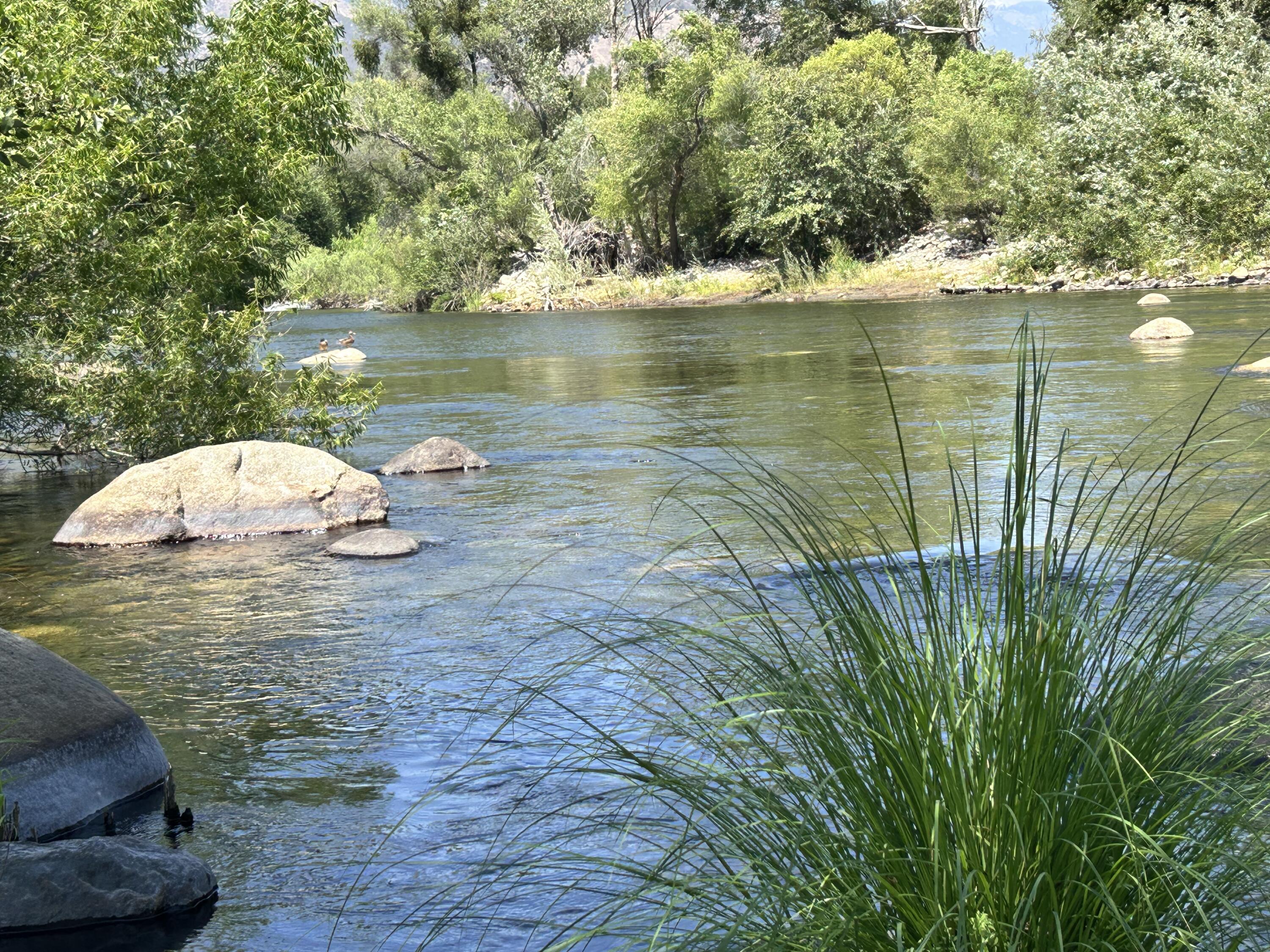42001 N Fork Dr, Three Rivers, CA 93271