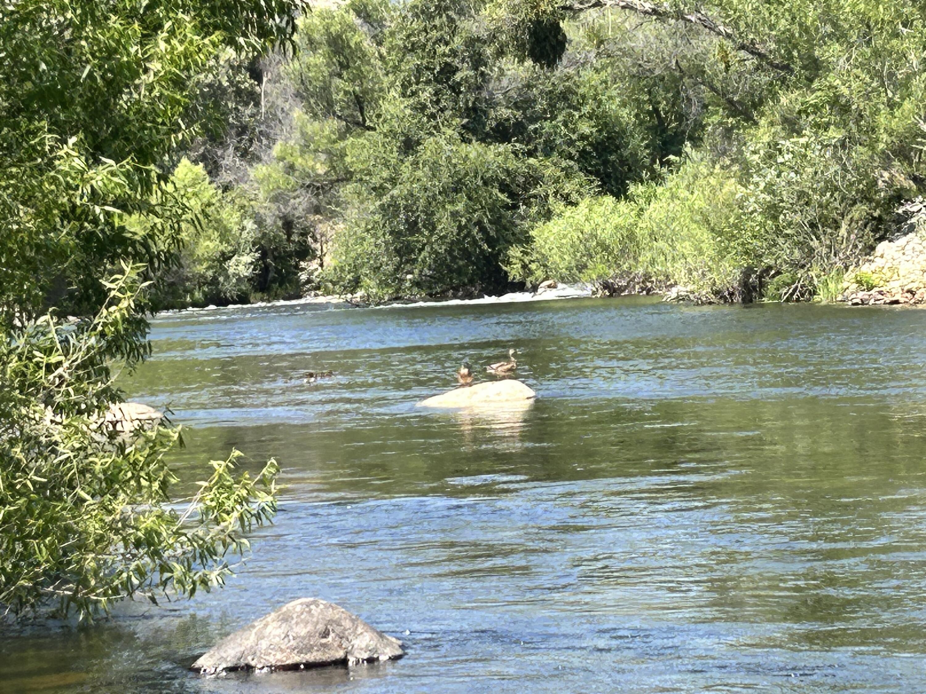 42001 N Fork Dr, Three Rivers, CA 93271